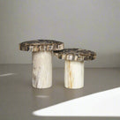 Petrified Wood Mushroom Side (Table B) 15