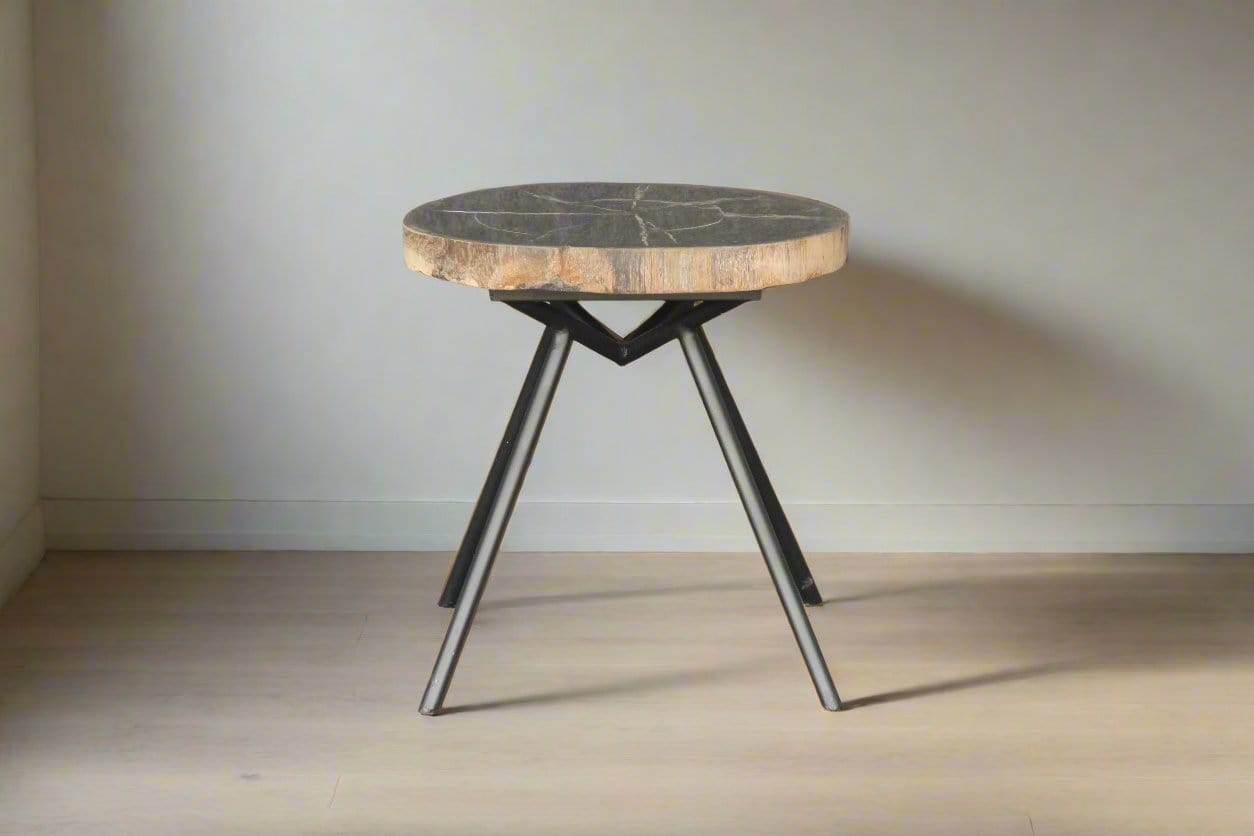 Kalifano Petrified Wood Petrified Wood Round Coffee Table 17" / 18 lbs PWT800.001