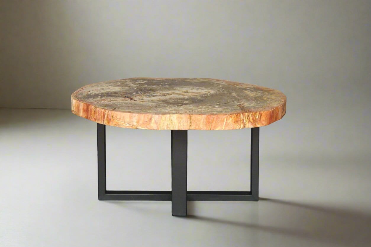 Kalifano Petrified Wood Petrified Wood Round Coffee Table 36" / 174 lbs PWT6400.006