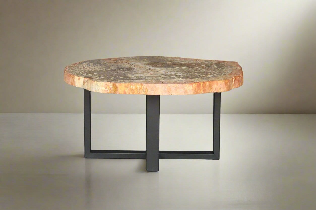 Kalifano Petrified Wood Petrified Wood Round Coffee Table 38" / 158 lbs PWT6000.007