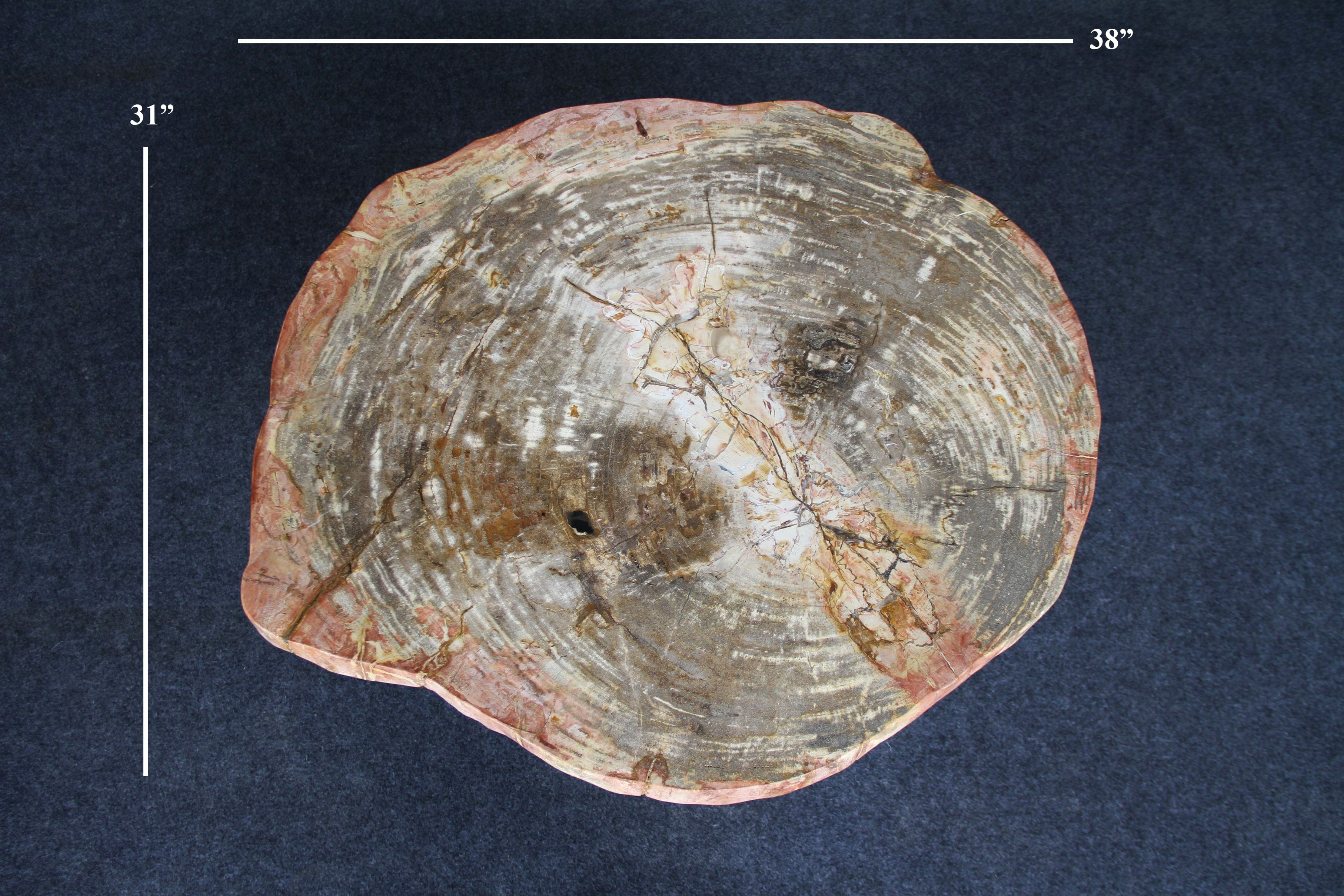 Kalifano Petrified Wood Petrified Wood Round Coffee Table 38" / 158 lbs PWT6000.007