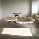 Petrified Wood Round Coffee (Table B) 26