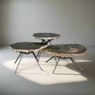 Petrified Wood Round Coffee (Table B) 30