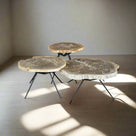 Petrified Wood Round Coffee (Table A) 22