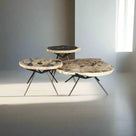 Petrified Wood Round Coffee (Table A) 22