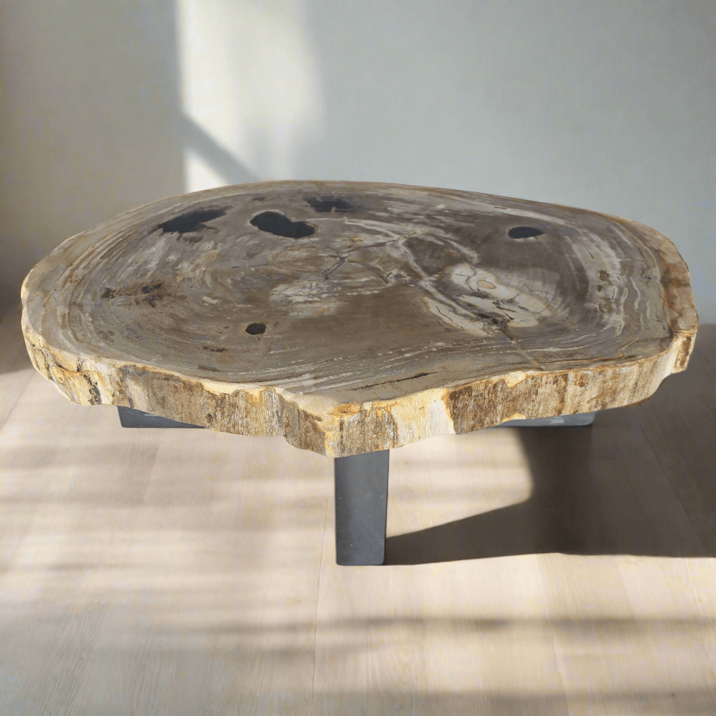 Kalifano Petrified Wood Petrified Wood Round Slab Coffee Table from Indonesia - 37" / 150 lbs PWT5600.004