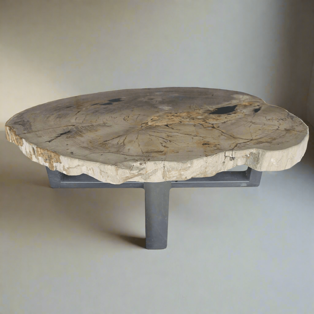 Kalifano Petrified Wood Petrified Wood Round Slab Coffee Table from Indonesia - 48" / 277 lbs PWT10200.003