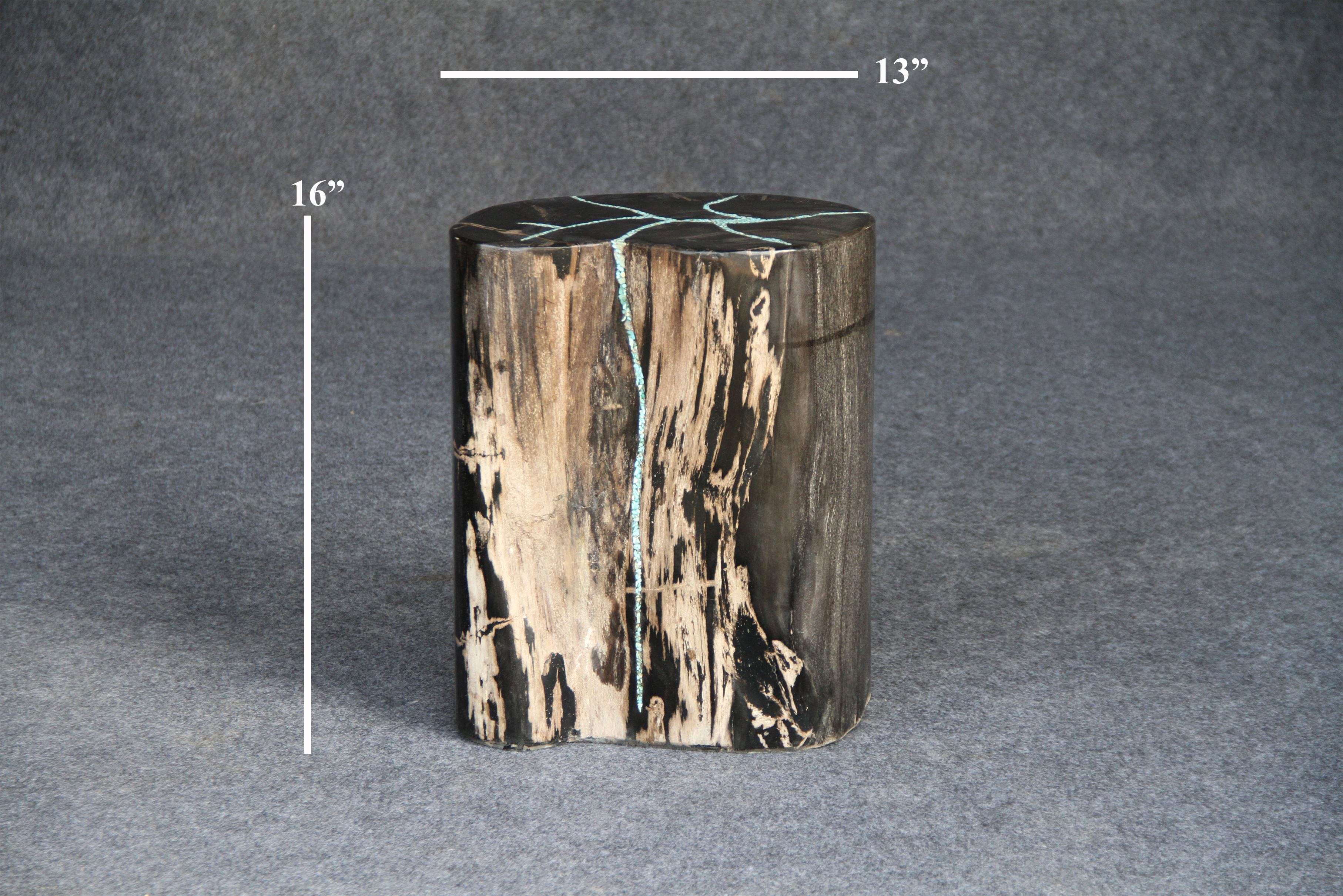 Kalifano Petrified Wood Petrified Wood Round Stump 13" / 119 lbs PWS2200.008