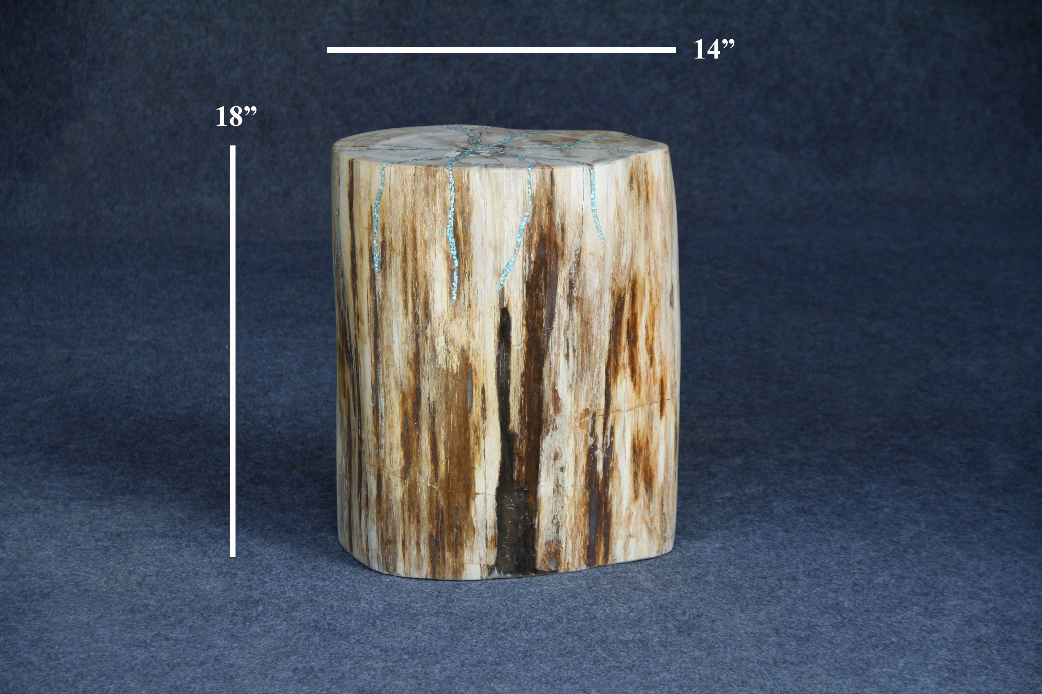 Kalifano Petrified Wood Petrified Wood Round Stump 14" / 165 lbs PWS2000.004