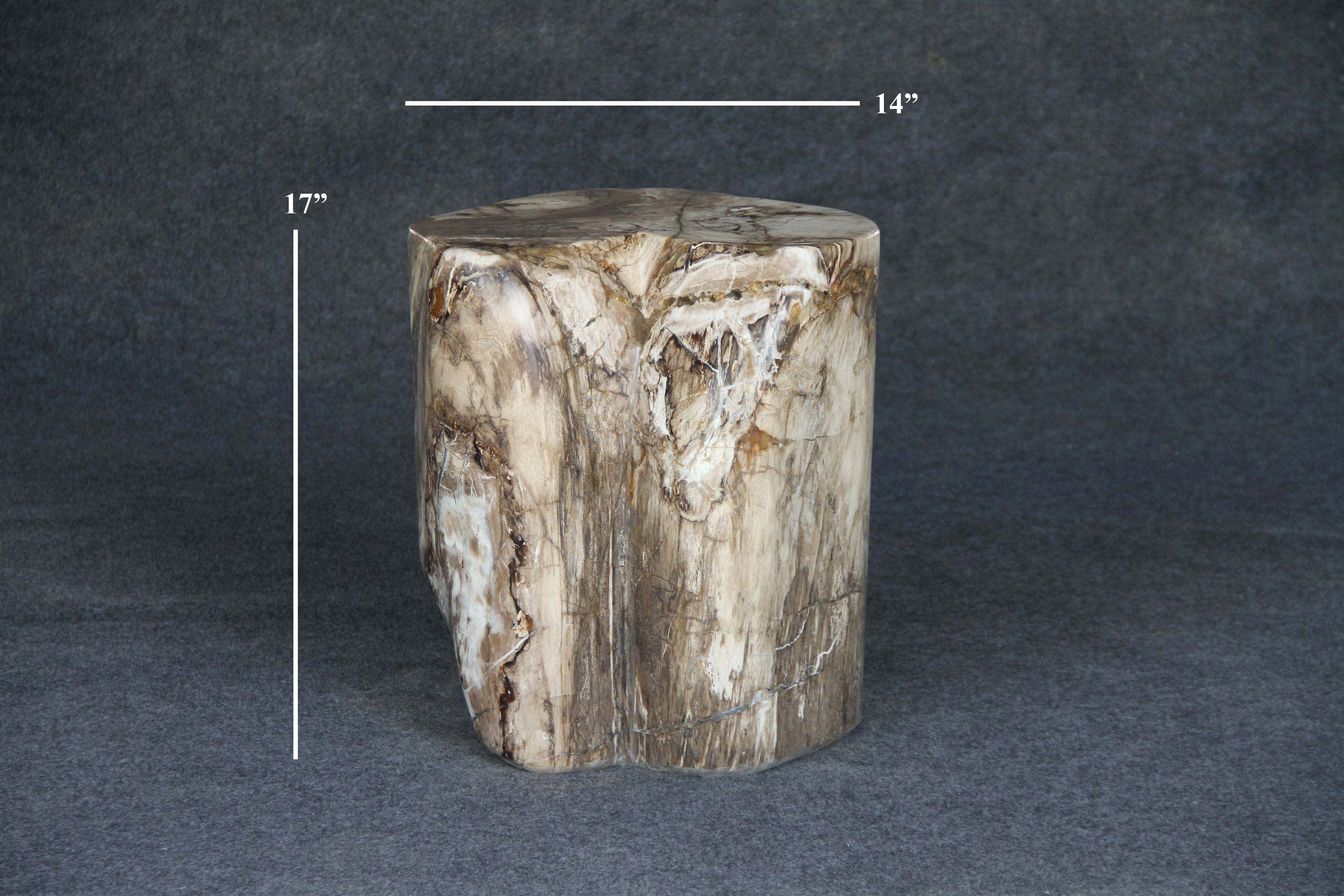 Kalifano Petrified Wood Petrified Wood Round Stump 14" / 220 lbs PWS4000.008