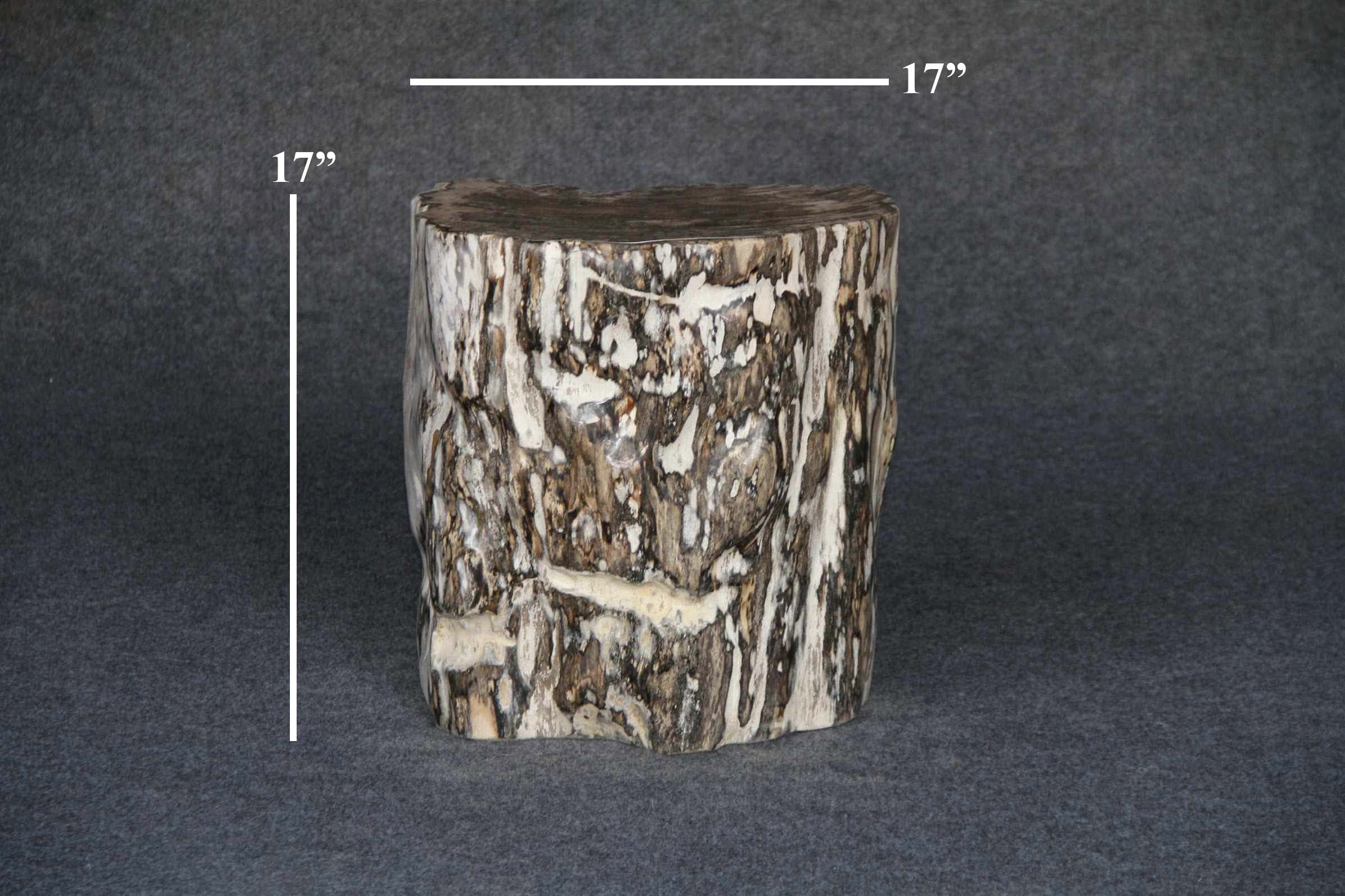 Kalifano Petrified Wood Petrified Wood Round Stump 15" / 183 lbs PWS3400.020
