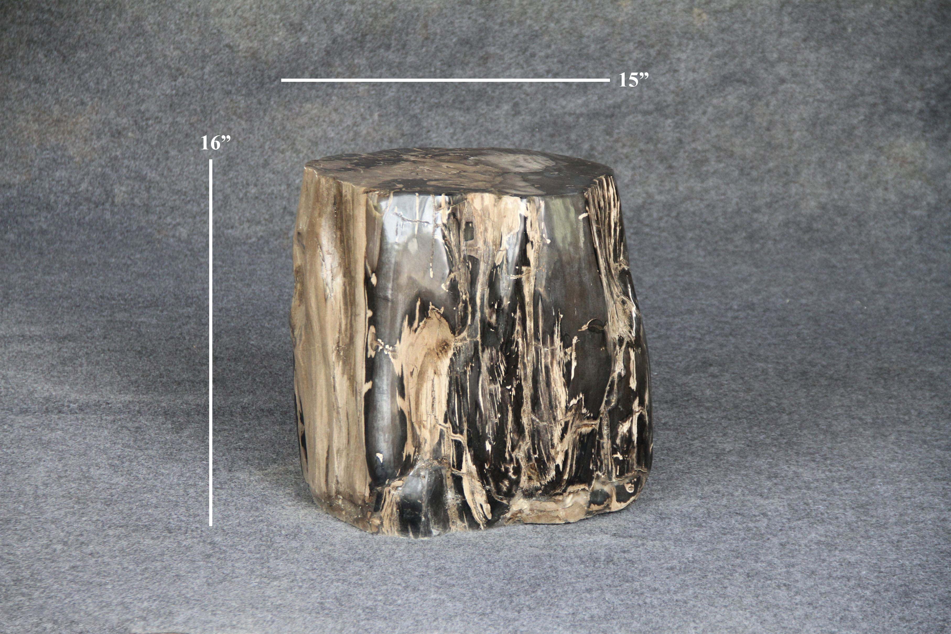 Kalifano Petrified Wood Petrified Wood Round Stump 15" / 231 lbs PWS4200.009