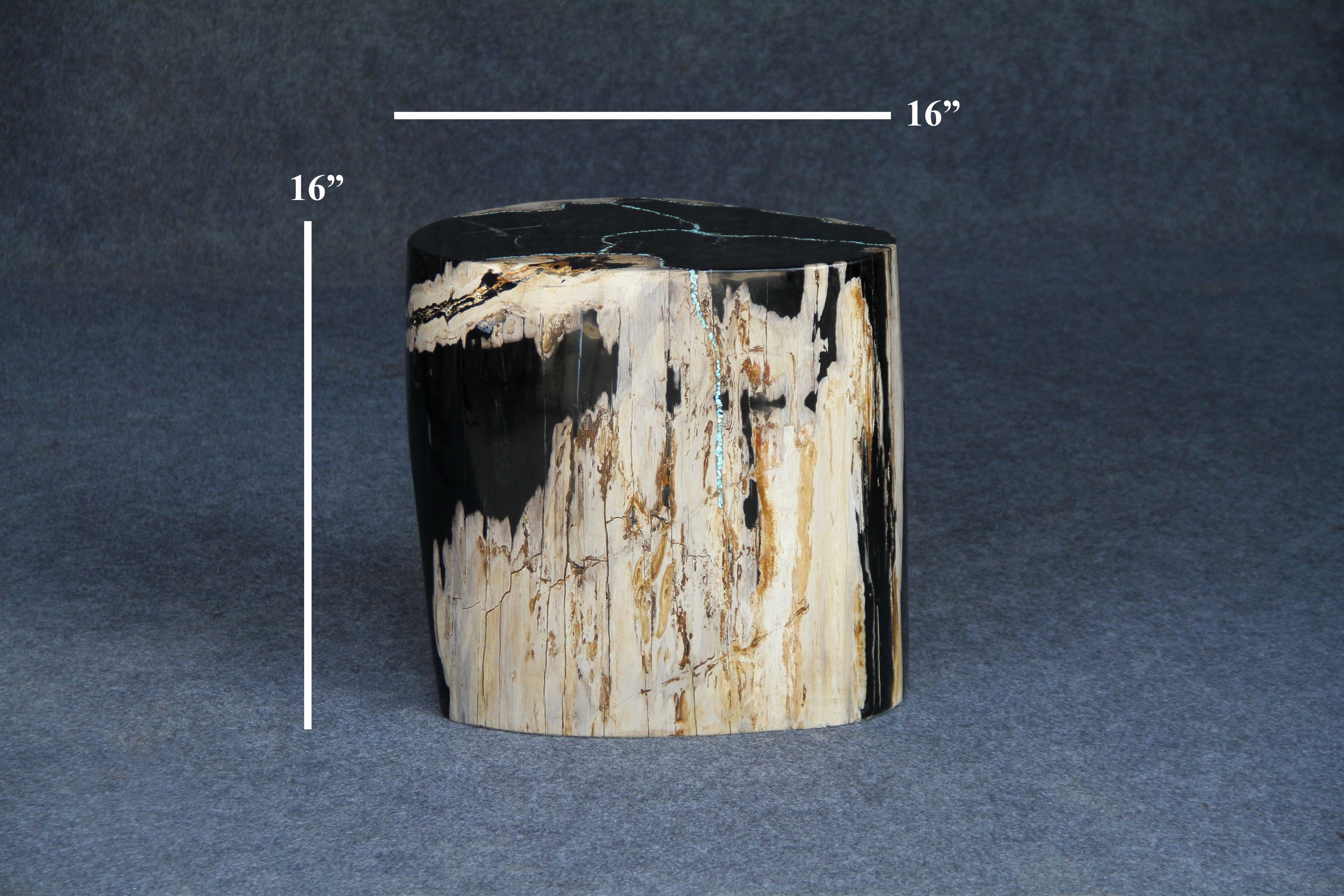 Kalifano Petrified Wood Petrified Wood Round Stump 16" / 211 lbs PWS3900.002