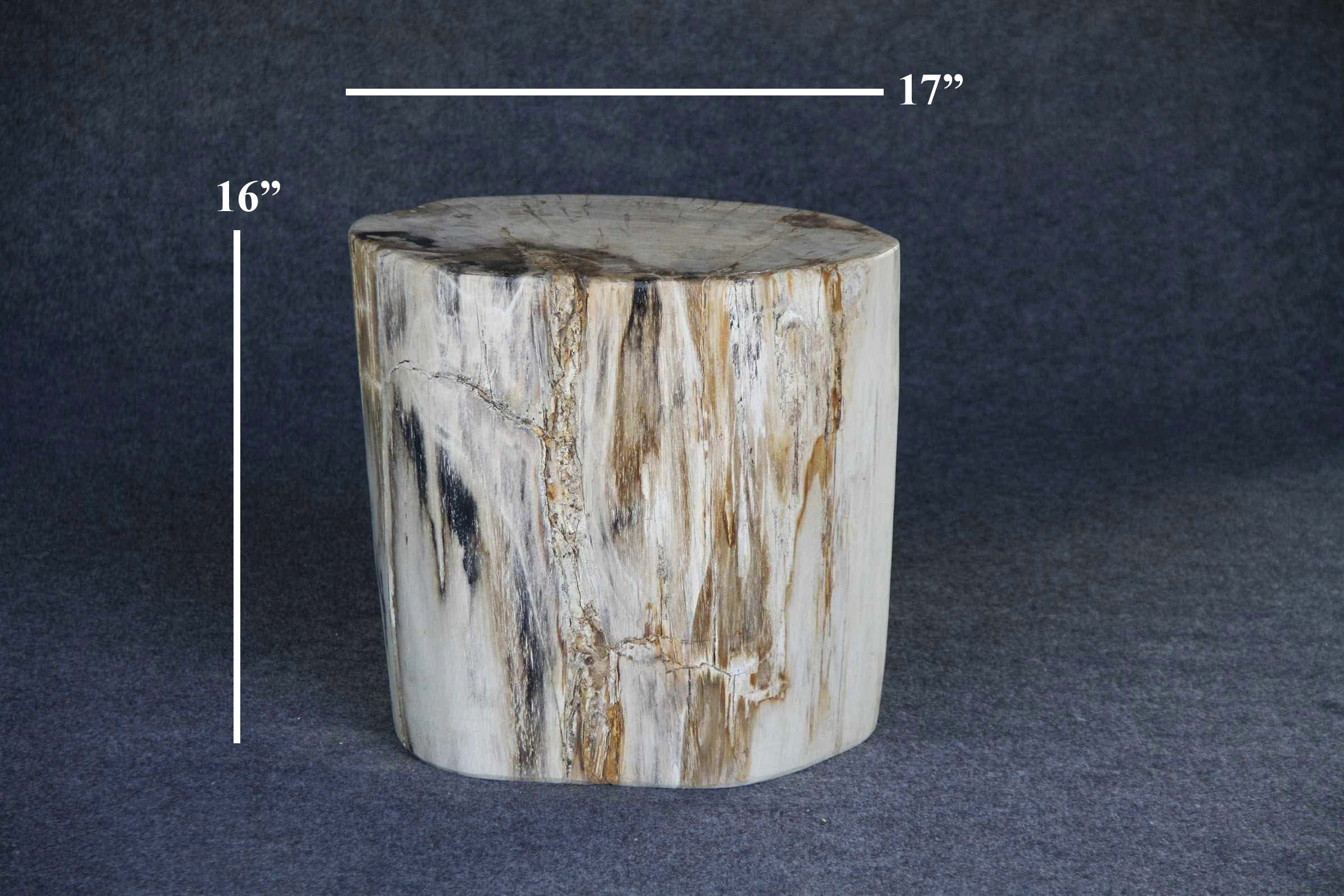 Kalifano Petrified Wood Petrified Wood Round Stump 17" / 196 lbs PWS3600.011