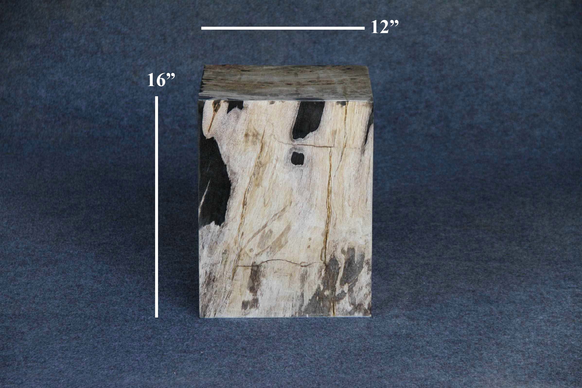 Kalifano Petrified Wood Petrified Wood Square Stump 12" / 185 lbs PWSS5200.002