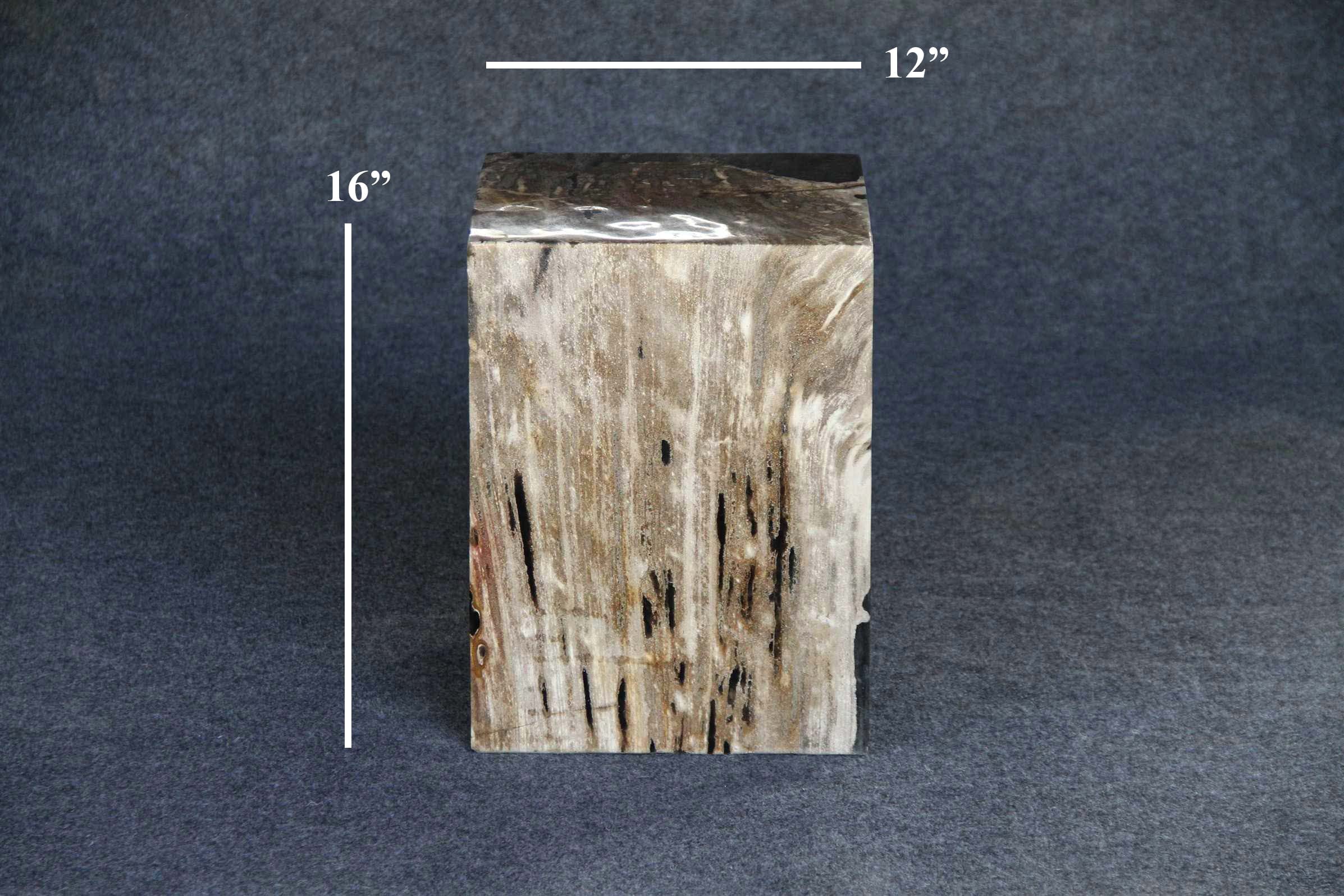 Kalifano Petrified Wood Petrified Wood Square Stump 12" / 189 lbs PWSS5200.003