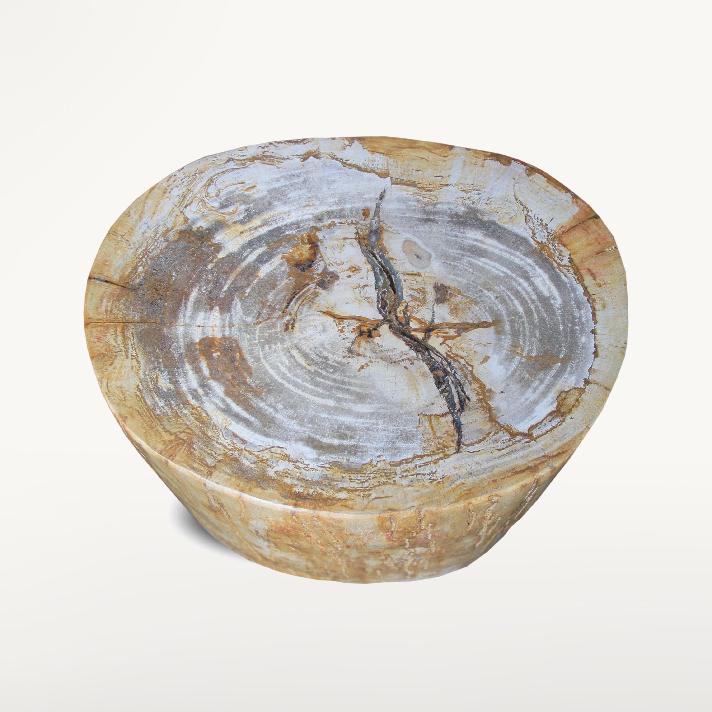 Kalifano Petrified Wood Polished Petrified Wood Stump / Stool from Indonesia - 16" / 192 lbs PWS3480.001