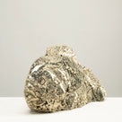 Peruvian Pyrite Fish Carving 9