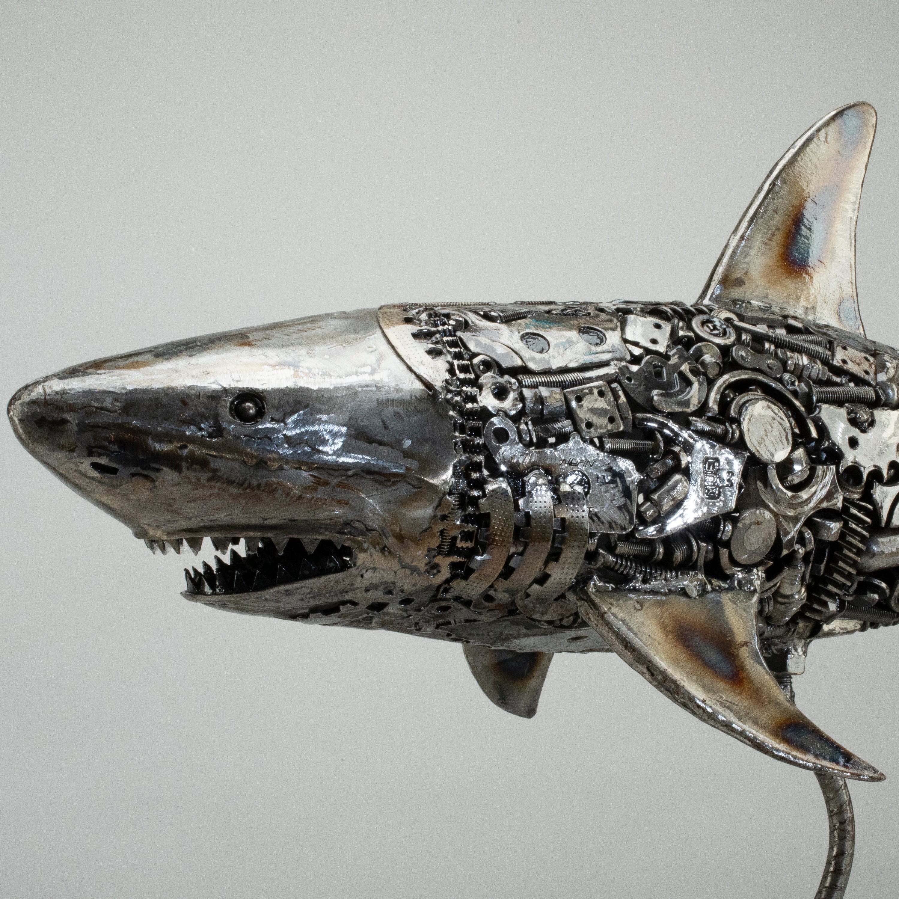 KALIFANO Recycled Metal Art 39" Great White Shark Recycled Metal Art Sculpture RMS-GWS100x52-PK