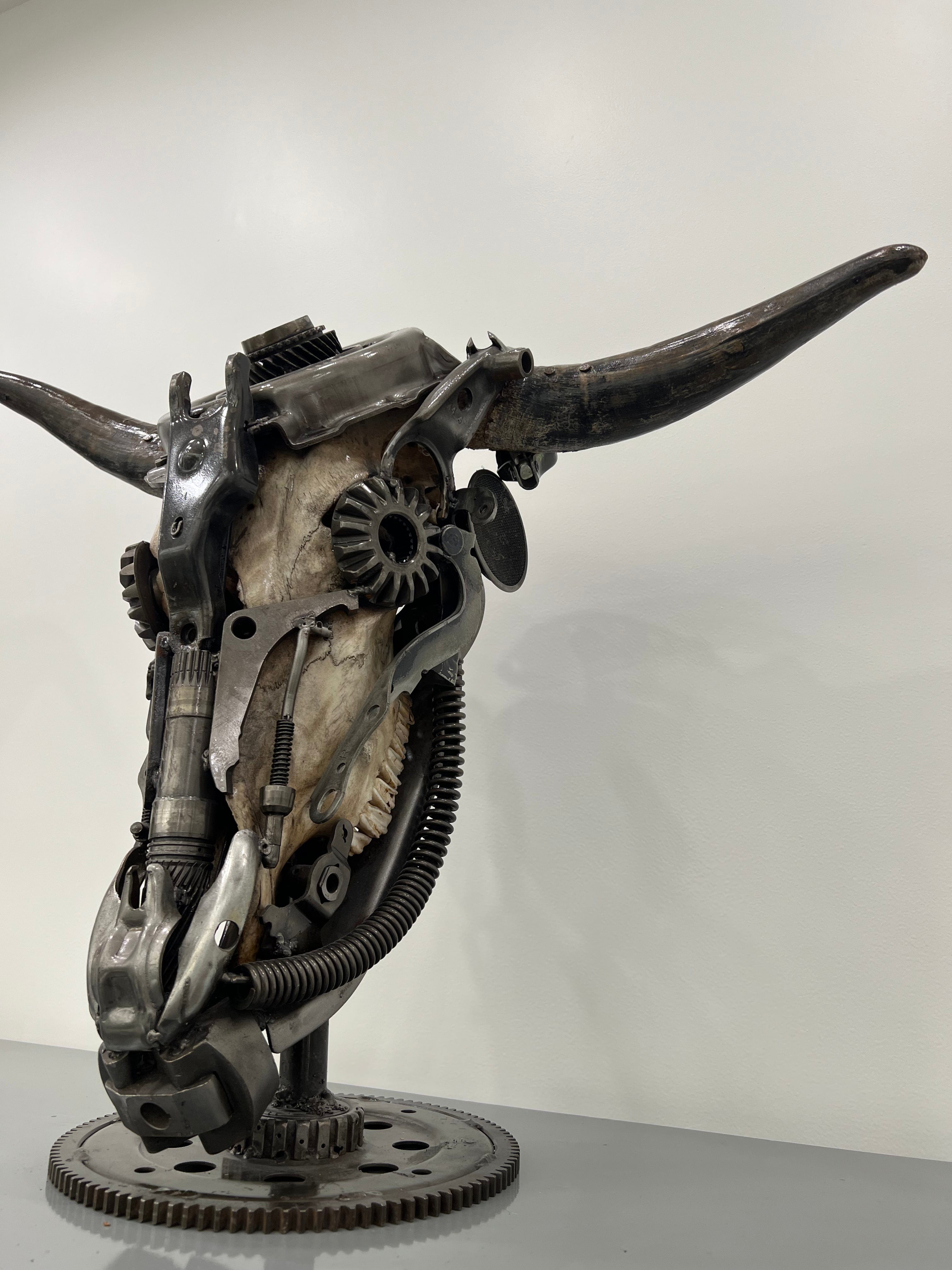 Kalifano Recycled Metal Art Bull Skull Recycled Metal Art Sculpture RMS-BSK-S24