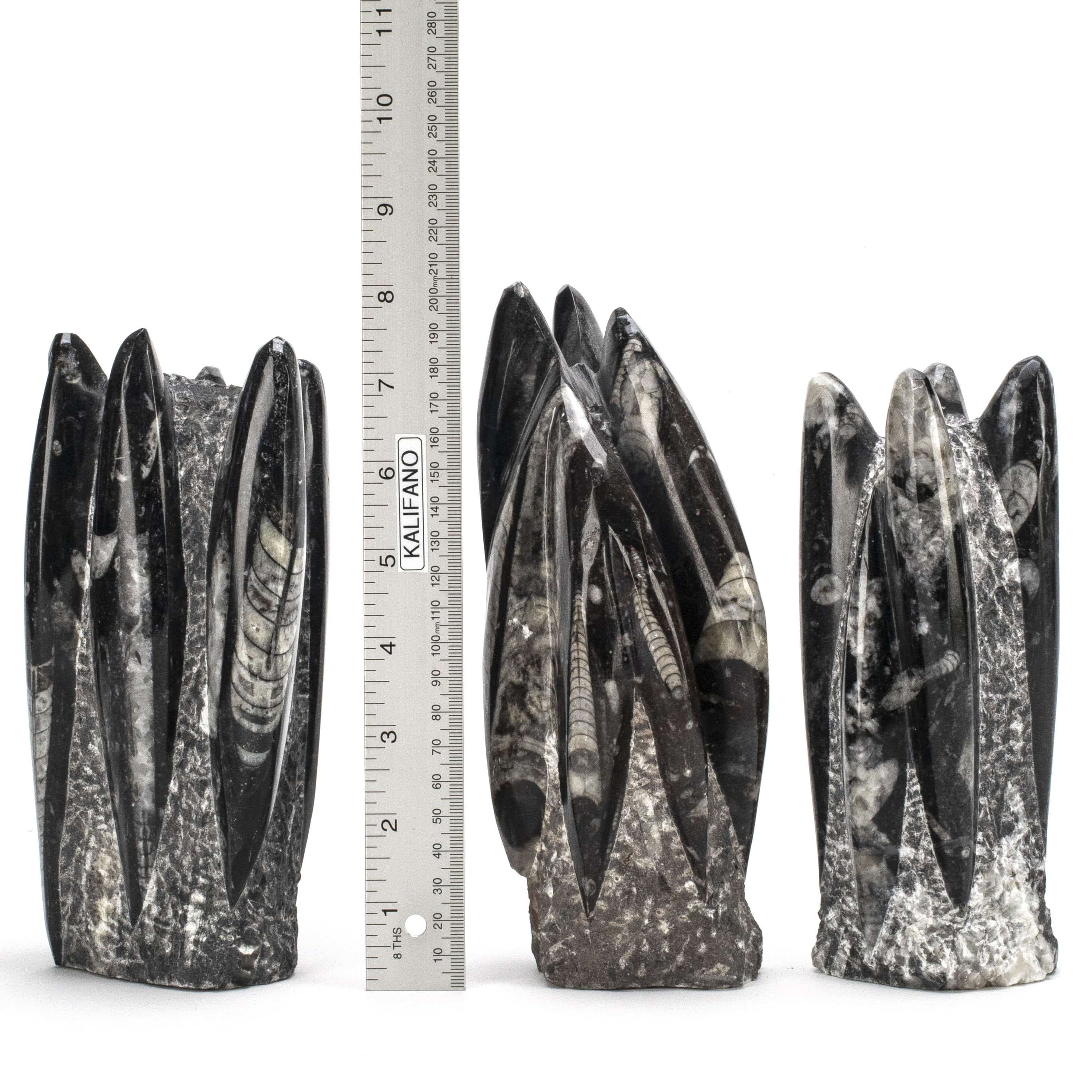 Kalifano Ammonites & Orthoceras Moroccan Orthoceras Fossil Tower - 7" ORT200