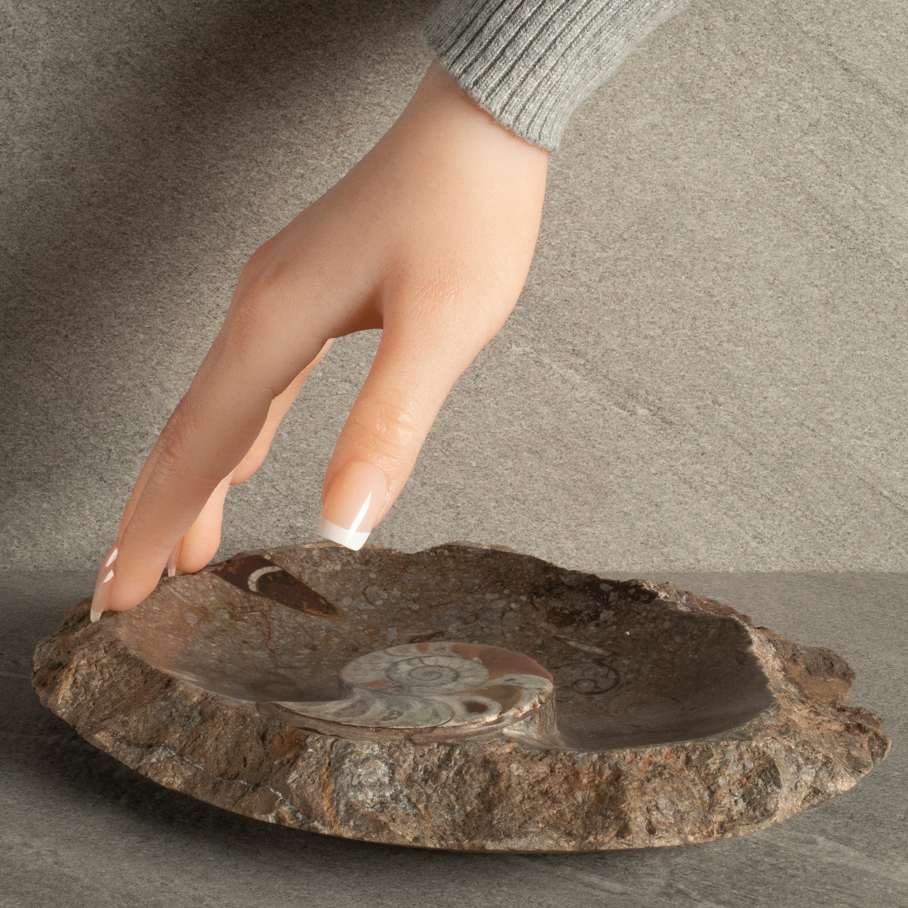 Kalifano Fossils & Minerals Brown Natural Ammonite Dish / Ashtray from Morocco - 9" BAM240-BN