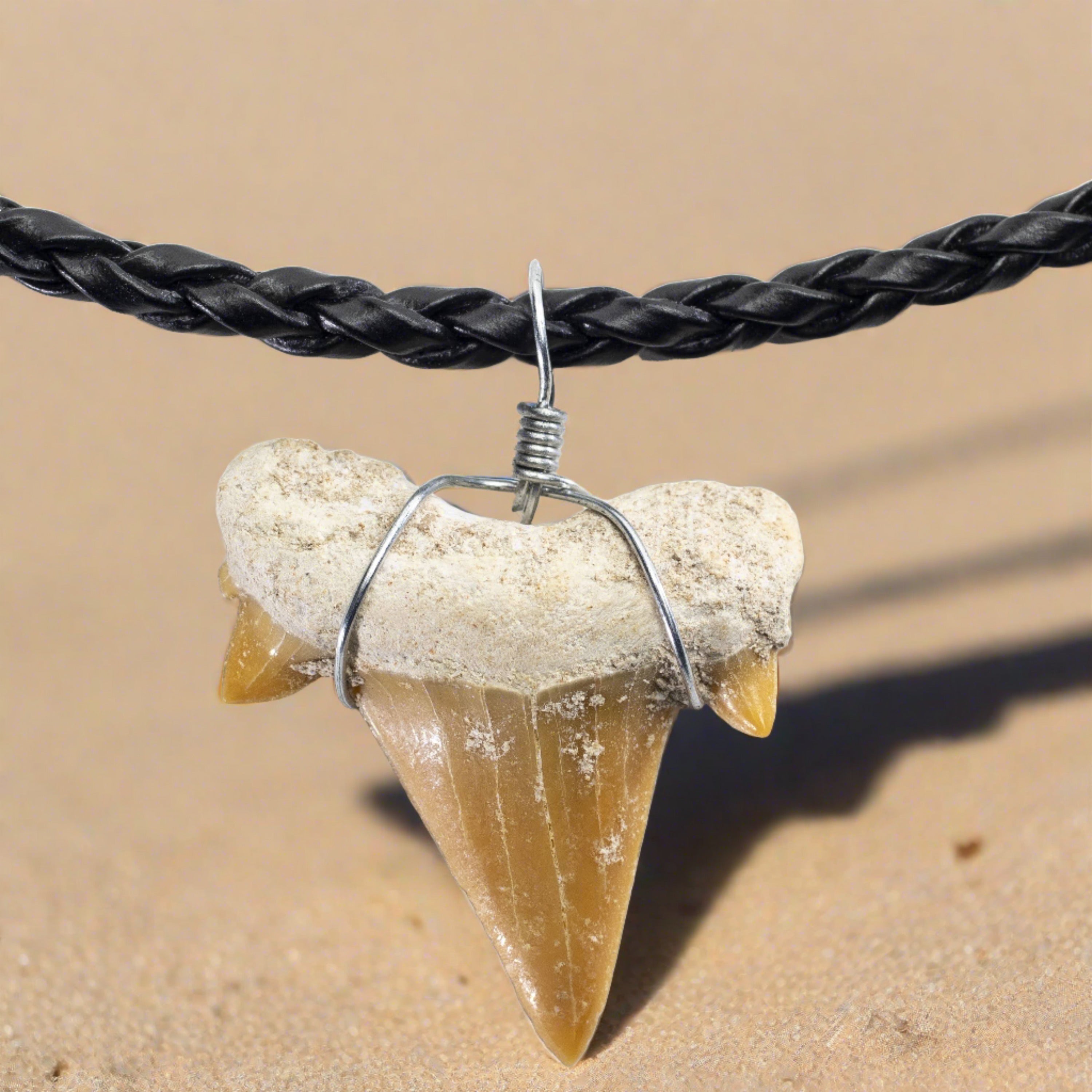 Kalifano Fossils & Minerals Fossil Shark Tooth Necklace STN59