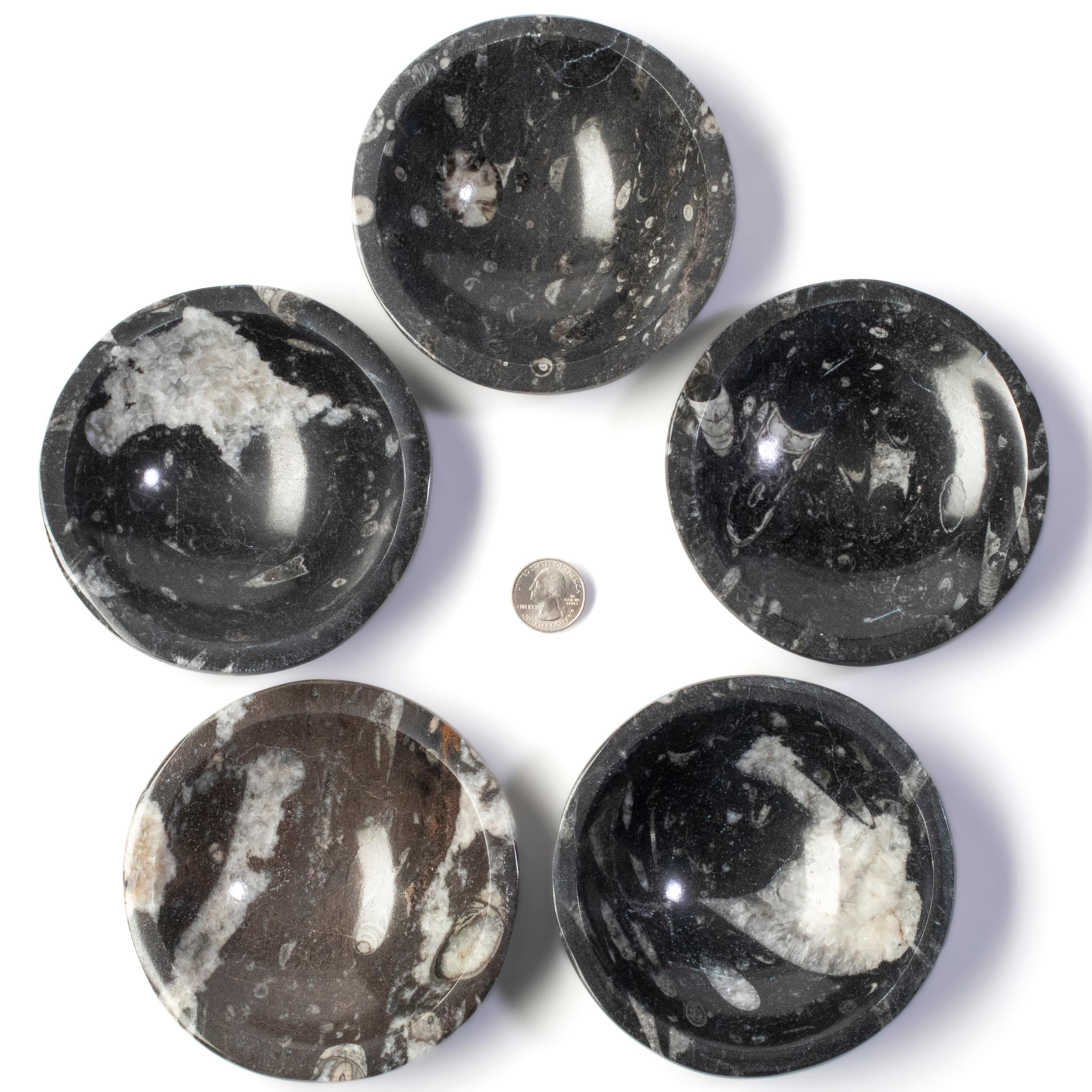 Kalifano Fossils & Minerals Natural Black Orthoceras Bowl from Morocco- 5" BORO100