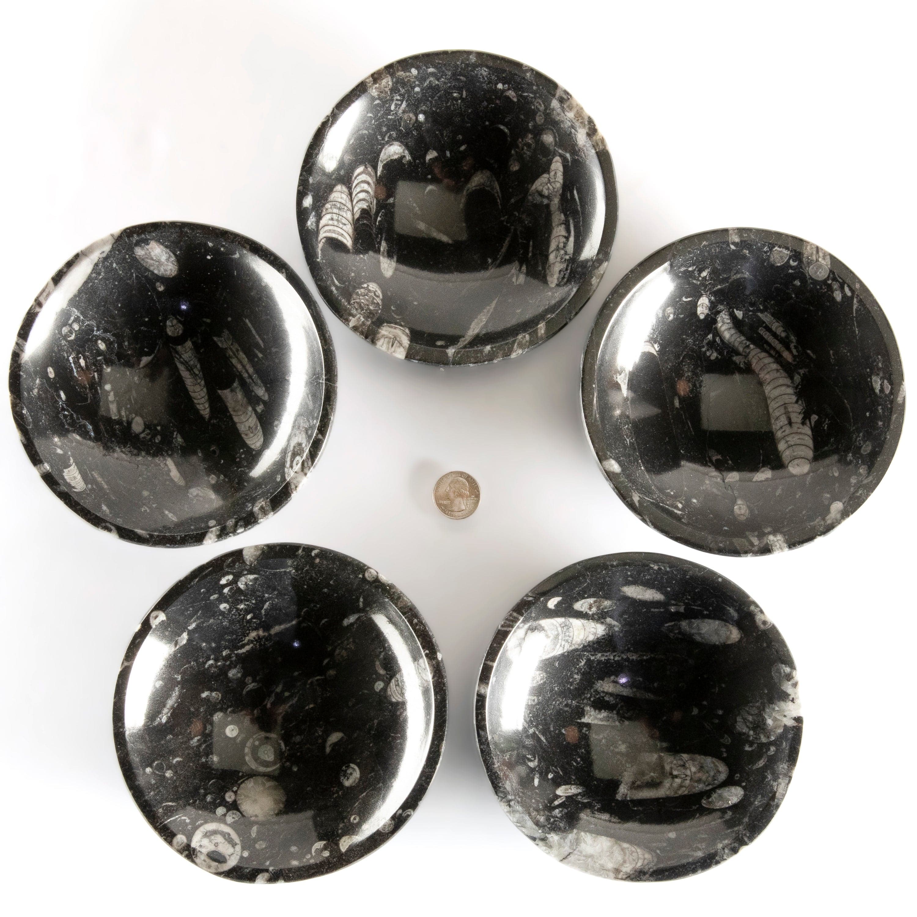 Kalifano Fossils & Minerals Natural Black Orthoceras Bowl from Morocco - 6" BORO140