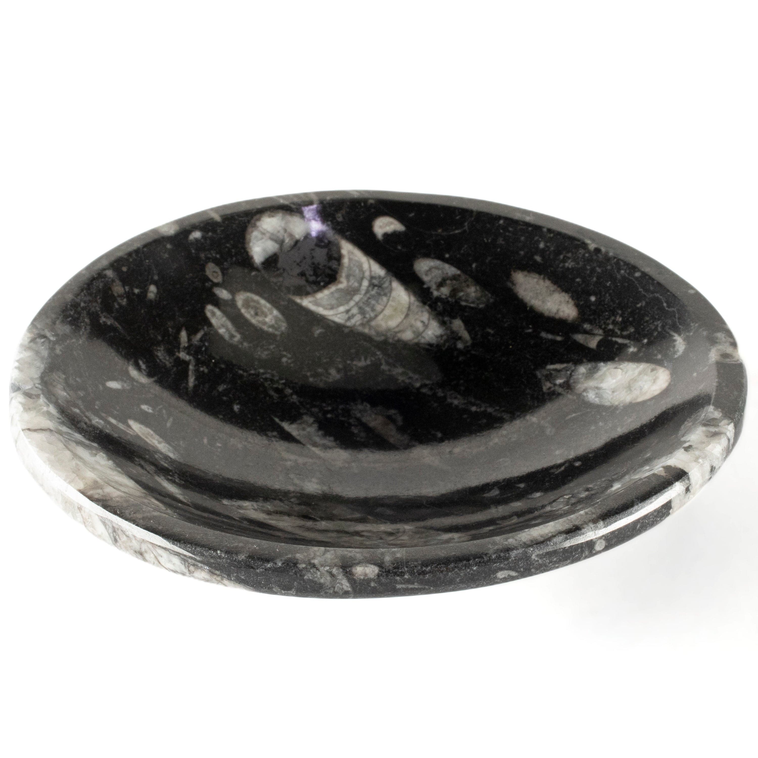 Kalifano Fossils & Minerals Natural Black Orthoceras Bowl from Morocco - 6" BORO140