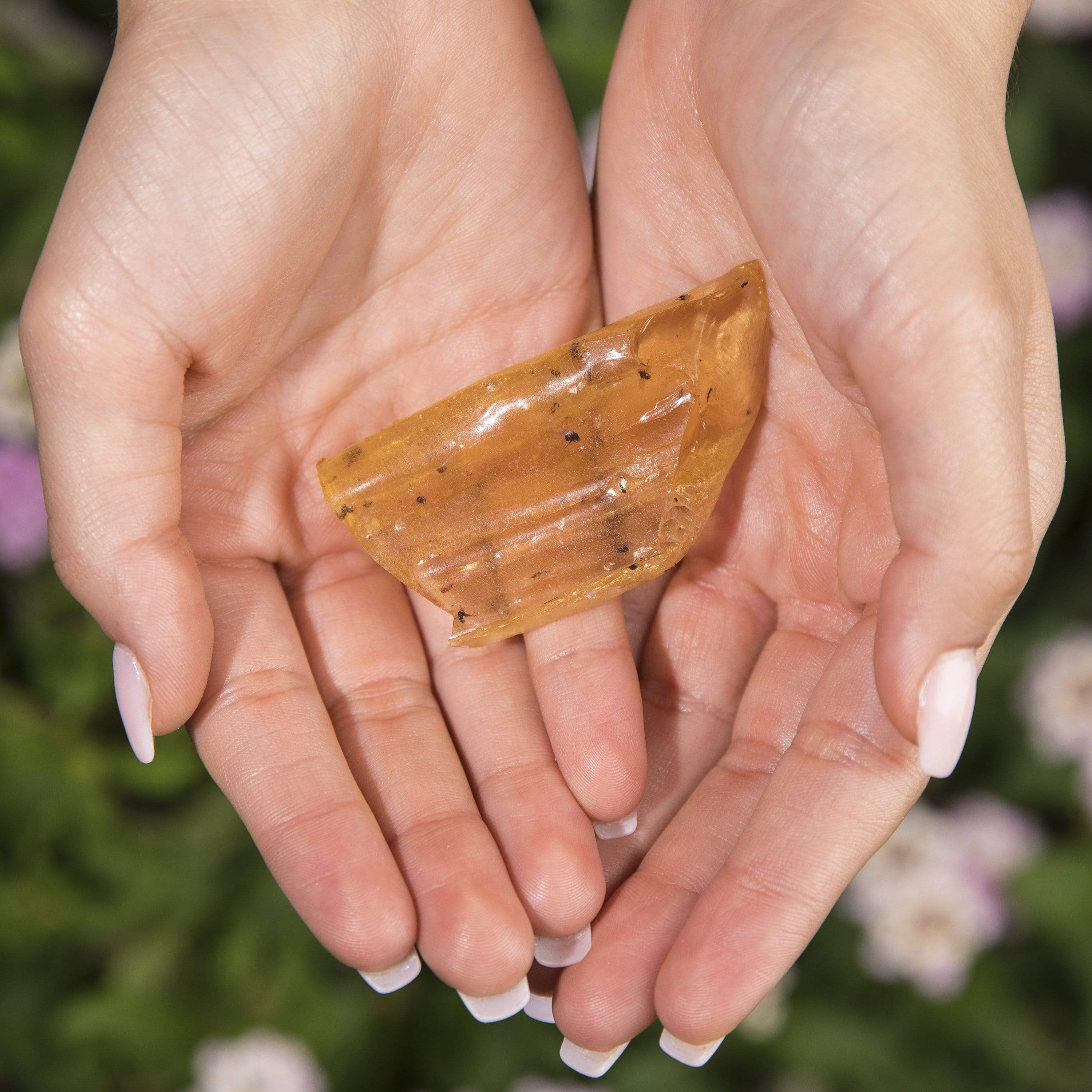 Kalifano Fossils & Minerals Natural Copal Amber Healing Stone from Columbia and Madagascar AMBER98