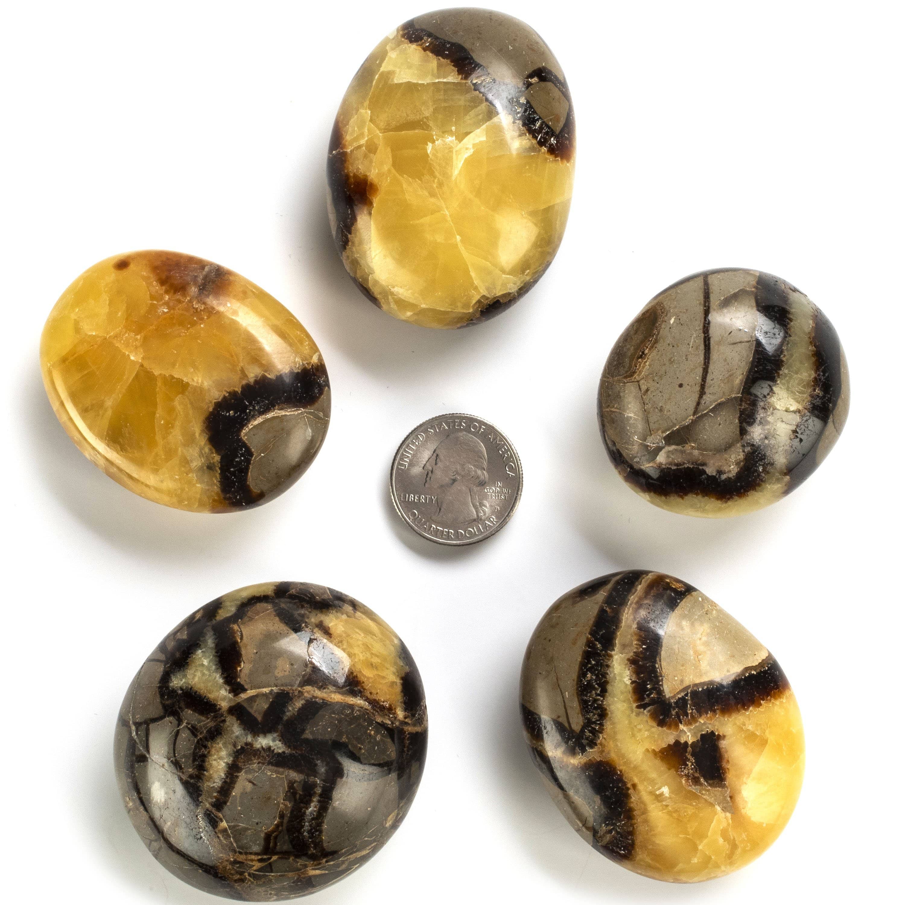 Kalifano Fossils & Minerals SP20 - Septarian - Madagascar SP20