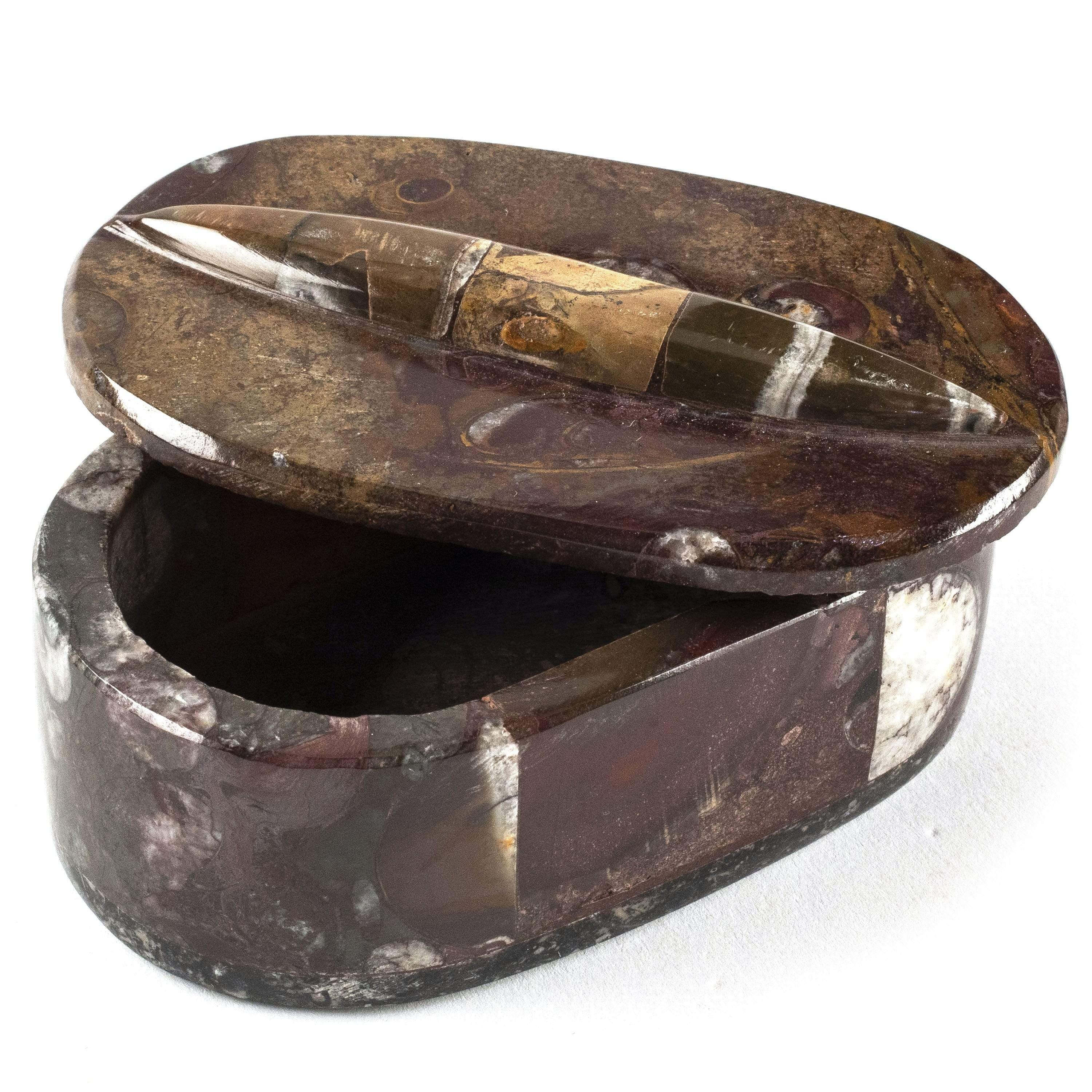 Kalifano Fossils & Minerals SVA-ORO - Oval Orthoceras Box - Morocco SVA-ORO