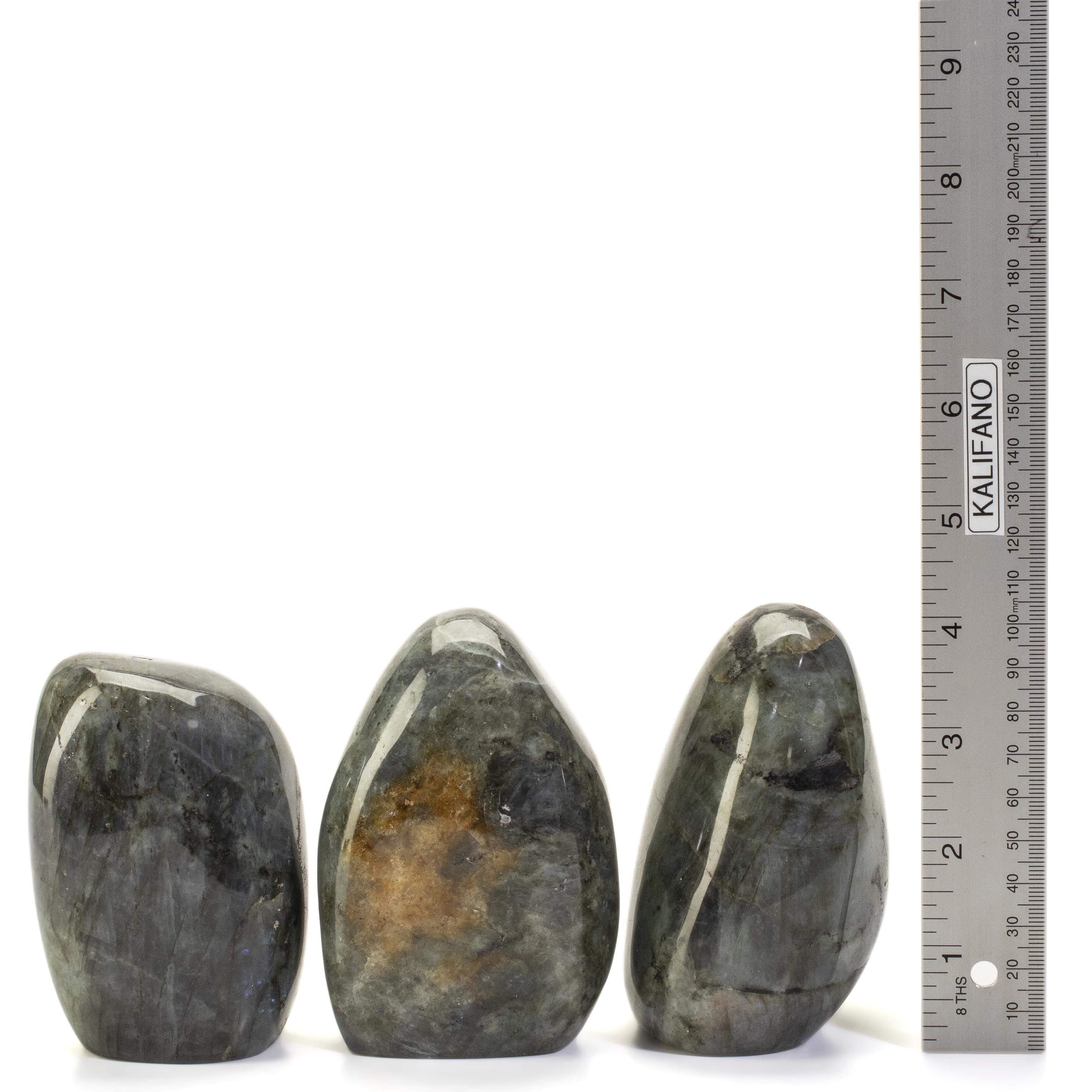 Kalifano Labradorite Labradorite Freeform Cut Base - 3.5" / 600g CB300-LB