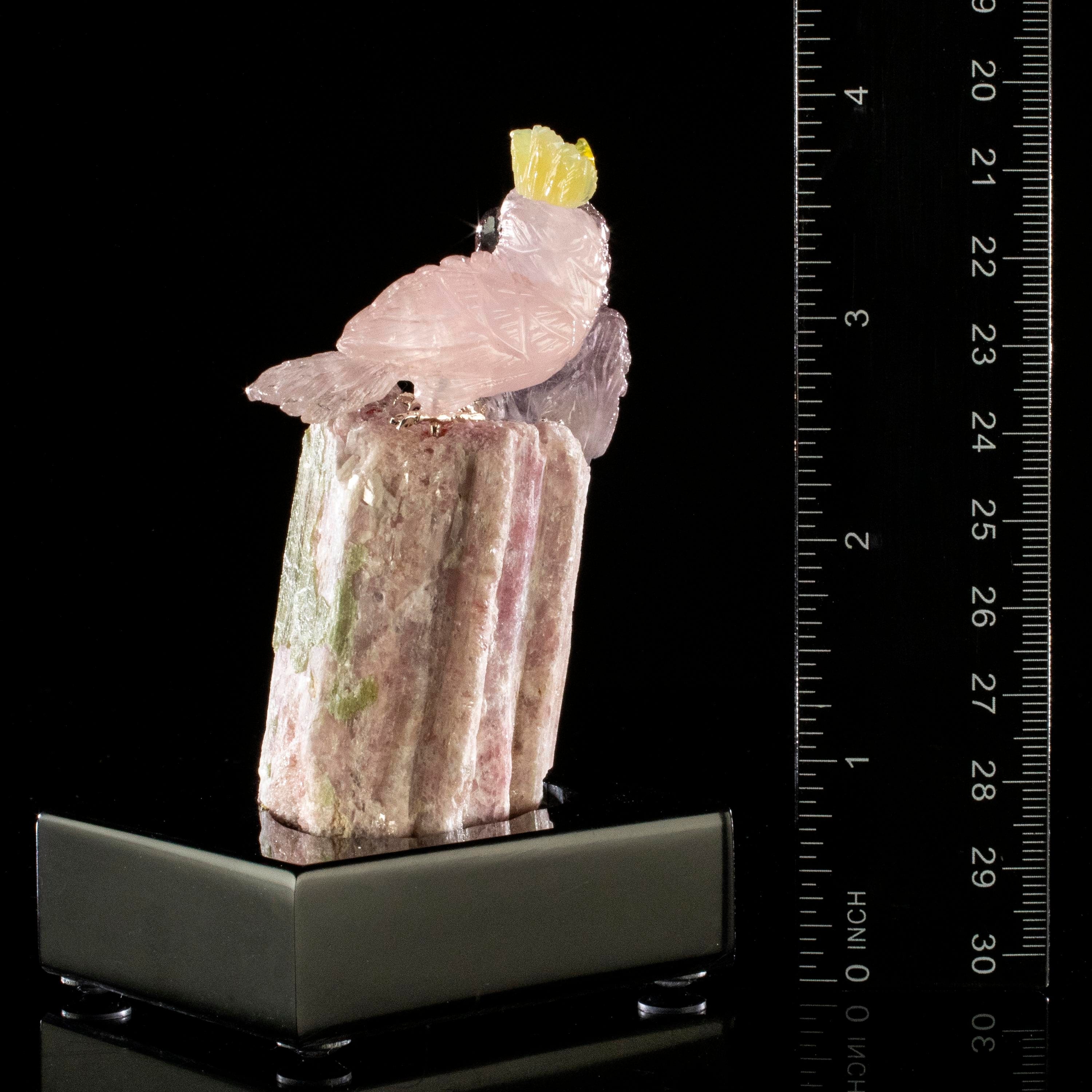 Kalifano Love Birds Carvings Rose Quartz and Amethyst Cockatoo Couple Love Birds Carving on Watermelon Tourmaline Base LB.C205.012