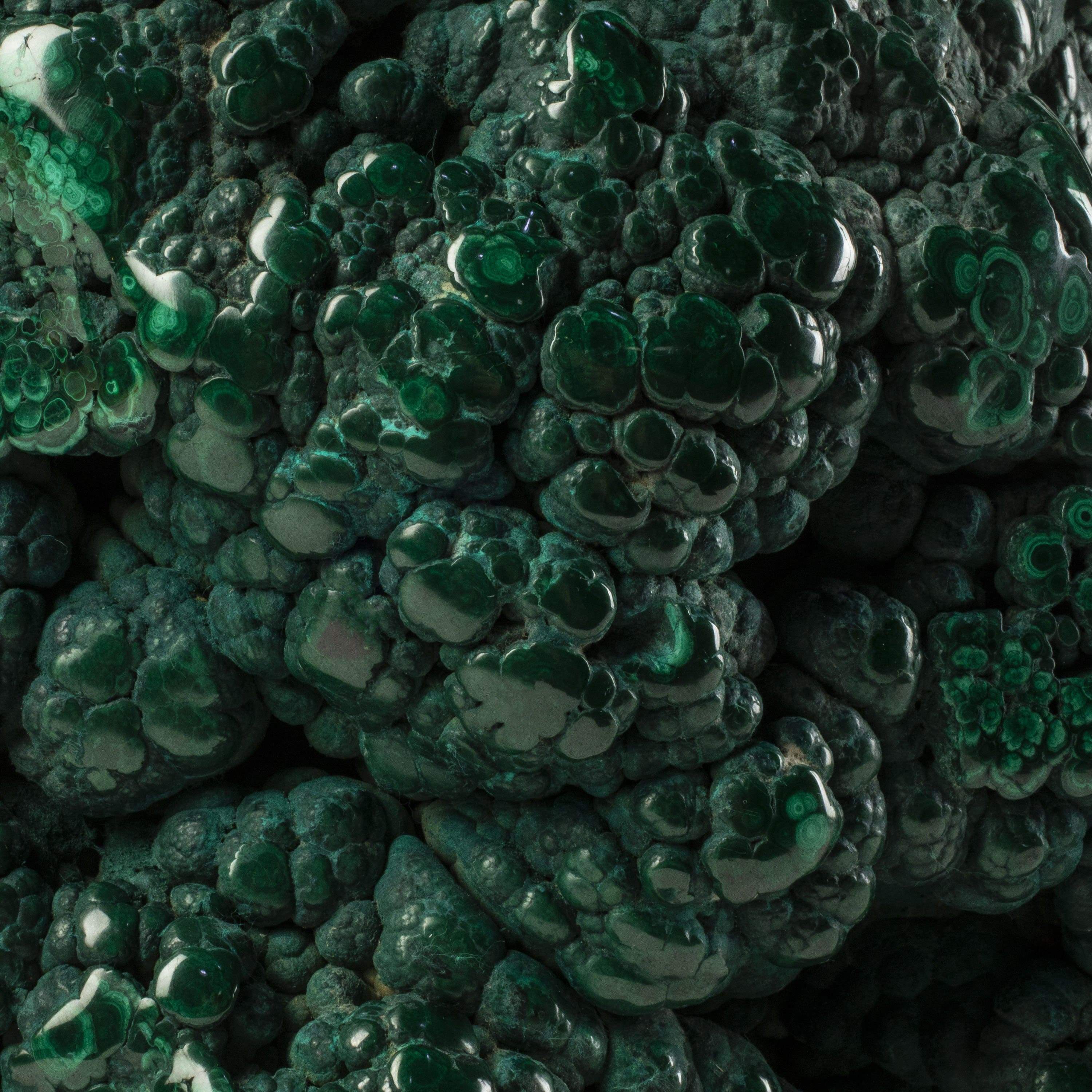 Kalifano Malachite Rare Natural Green Malachite Polished Freeform Specimen from Congo - 16.7 kg / 36.9 lbs MA11500.001