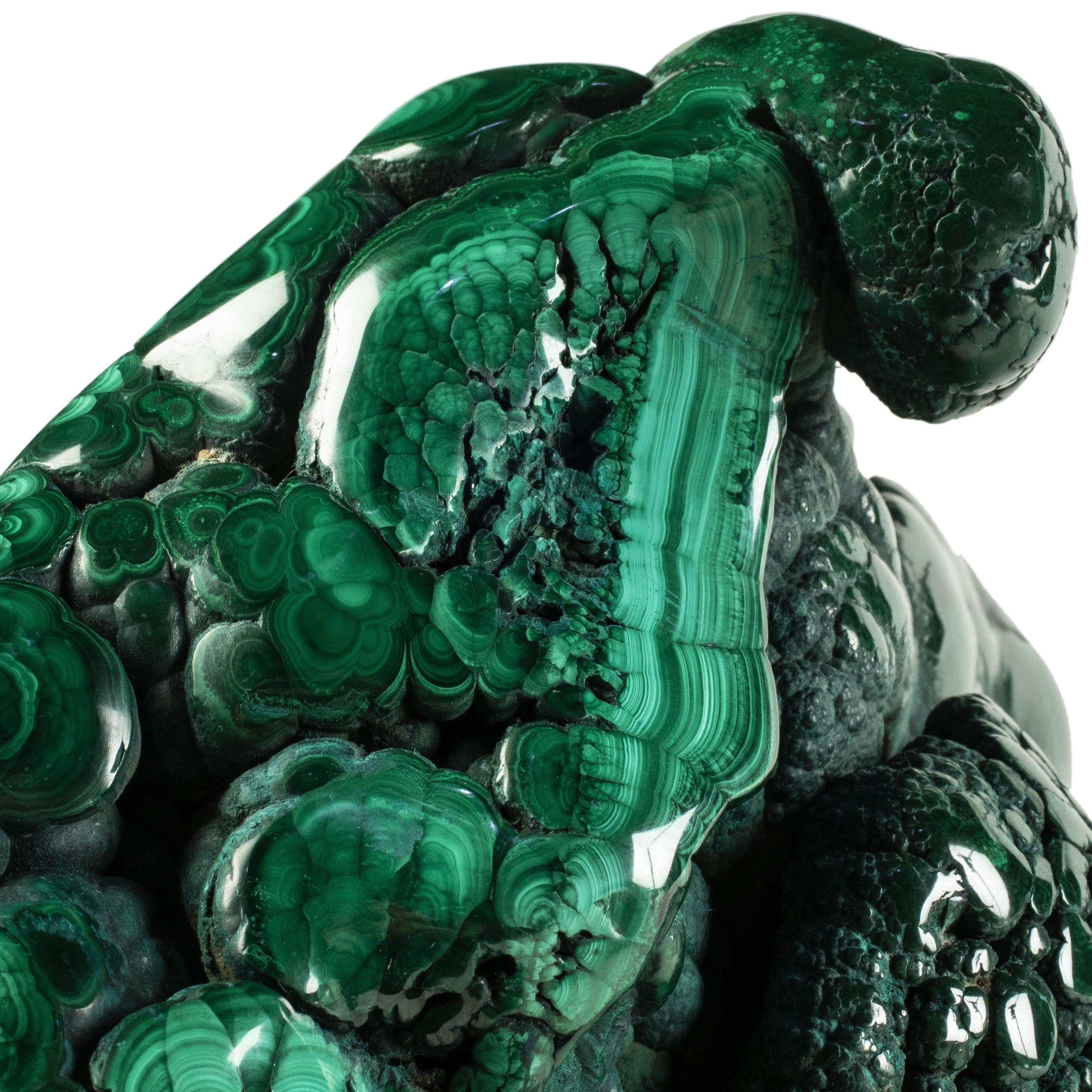 Kalifano Malachite Rare Natural Green Malachite Polished Freeform Specimen from Congo - 16.7 kg / 36.9 lbs MA11500.001