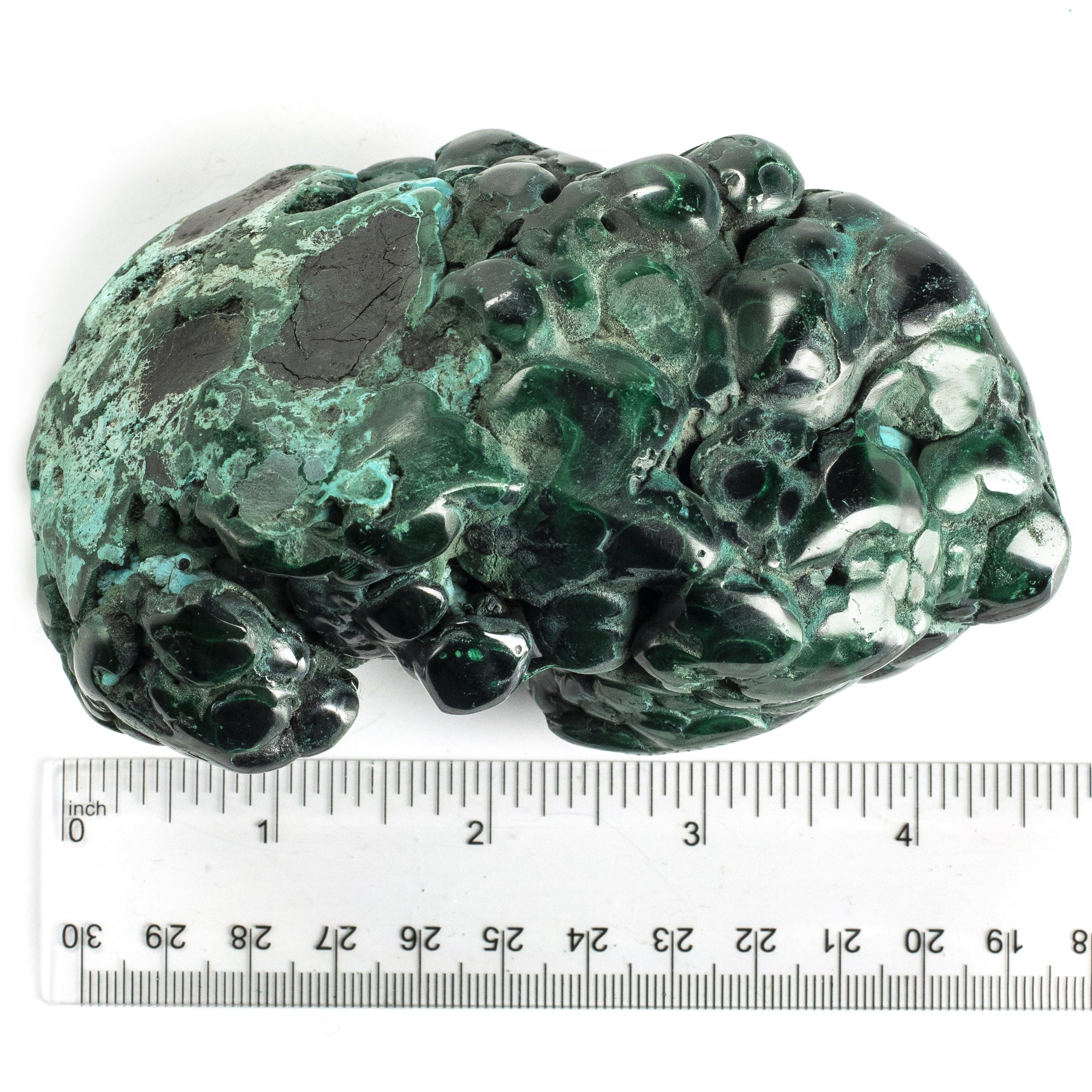 Kalifano Malachite Rare Natural Green Malachite with Blue Chrysocolla Freeform Specimen from Congo - 0.7 kg / 1.5 lbs MAC650.003