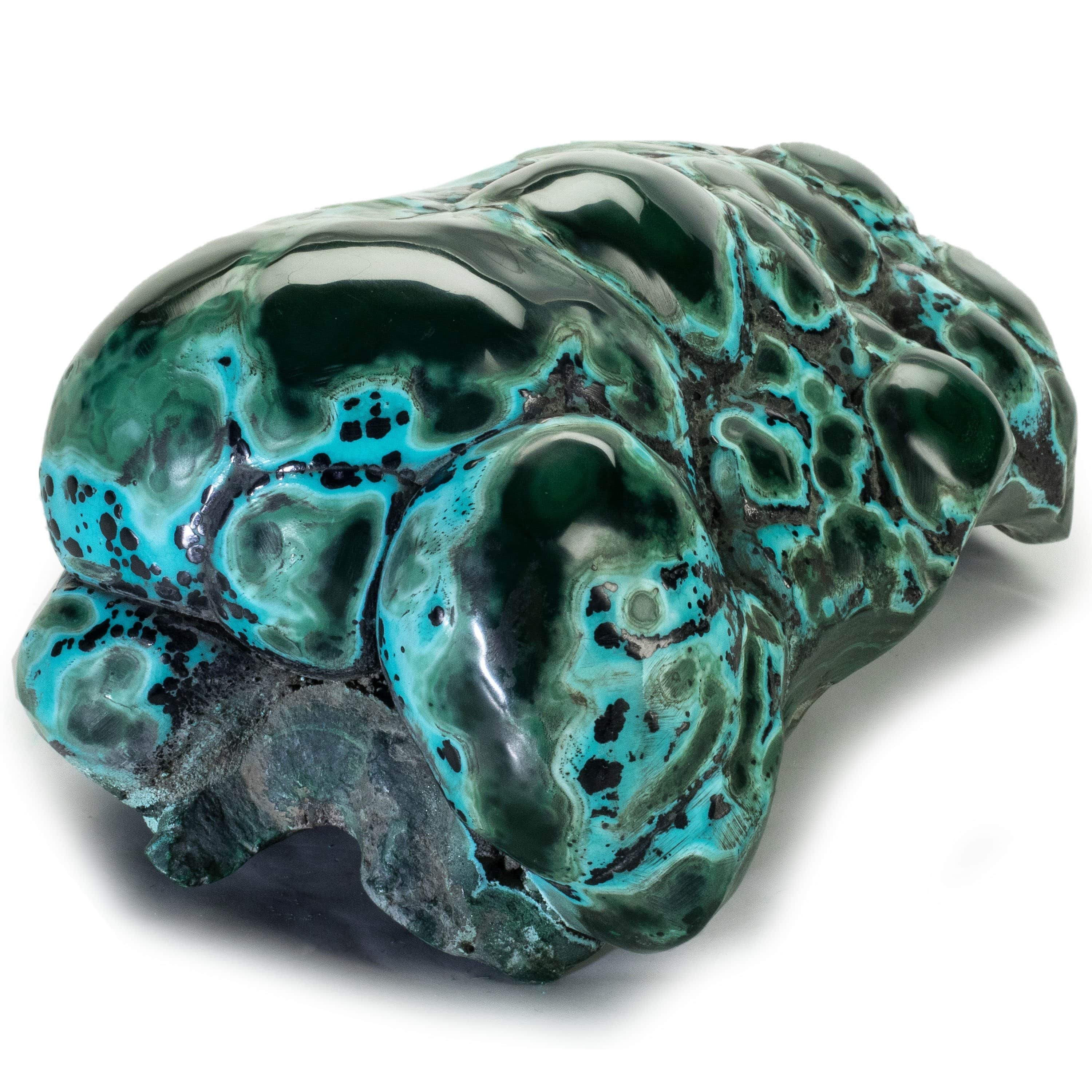 Kalifano Malachite Rare Natural Green Malachite with Blue Chrysocolla Freeform Specimen from Congo - 2.6 kg / 5.7 lbs MAC1900.001