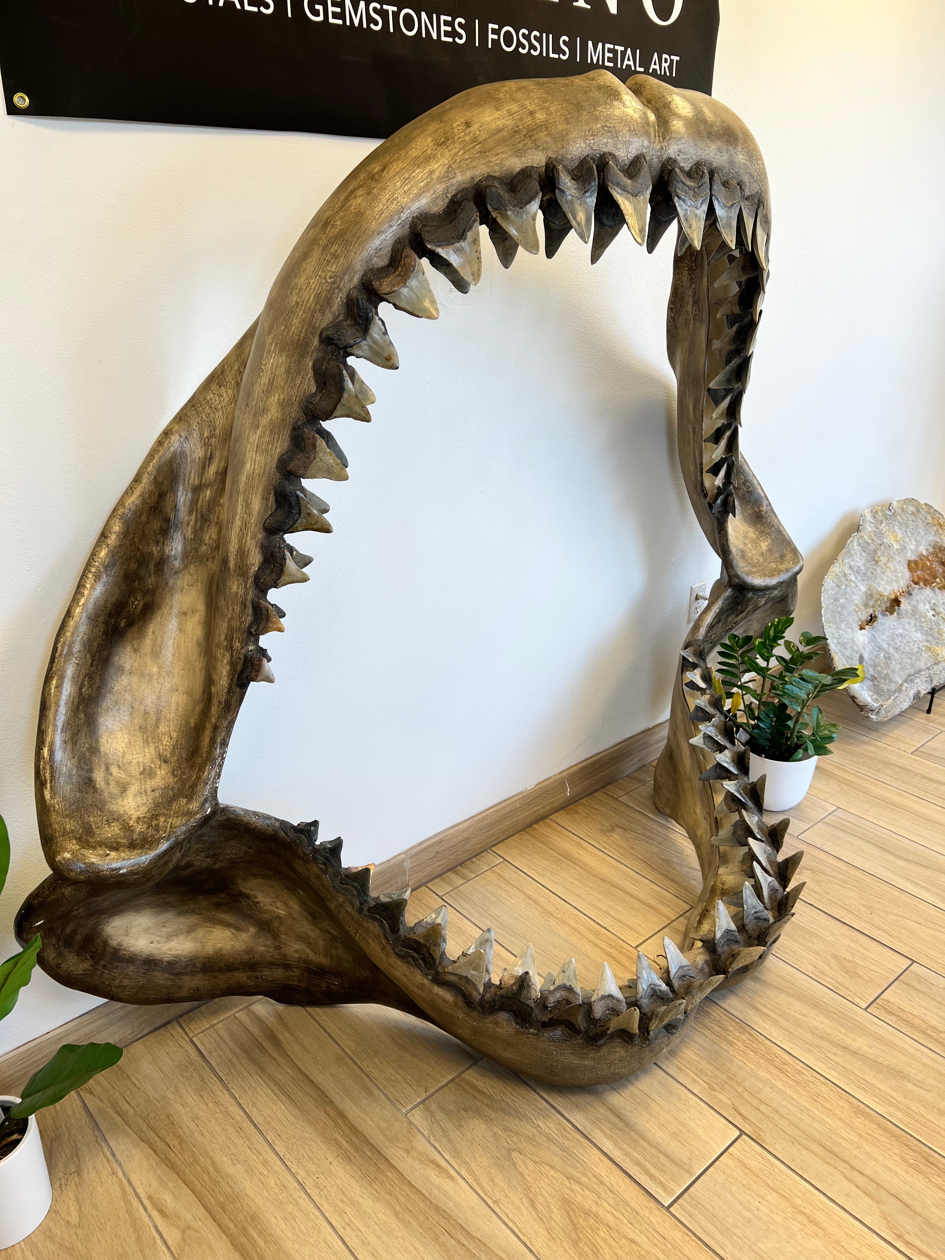 KALIFANO Megalodon Jaw 138 teeth 80‚ÄùW x 64‚ÄùH x 32‚ÄùD MEG600000