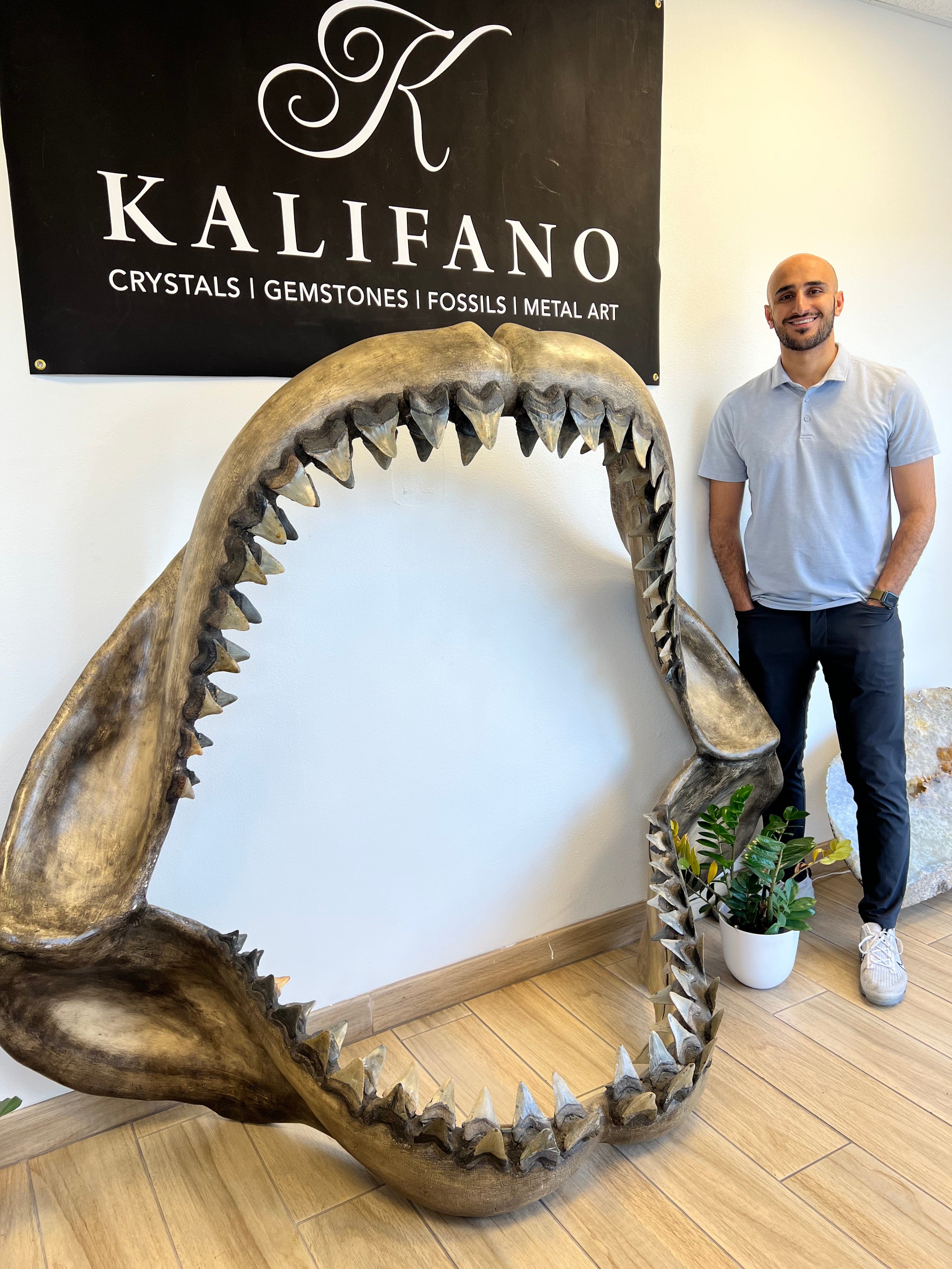 KALIFANO Megalodon Jaw 138 teeth 80‚ÄùW x 64‚ÄùH x 32‚ÄùD MEG600000