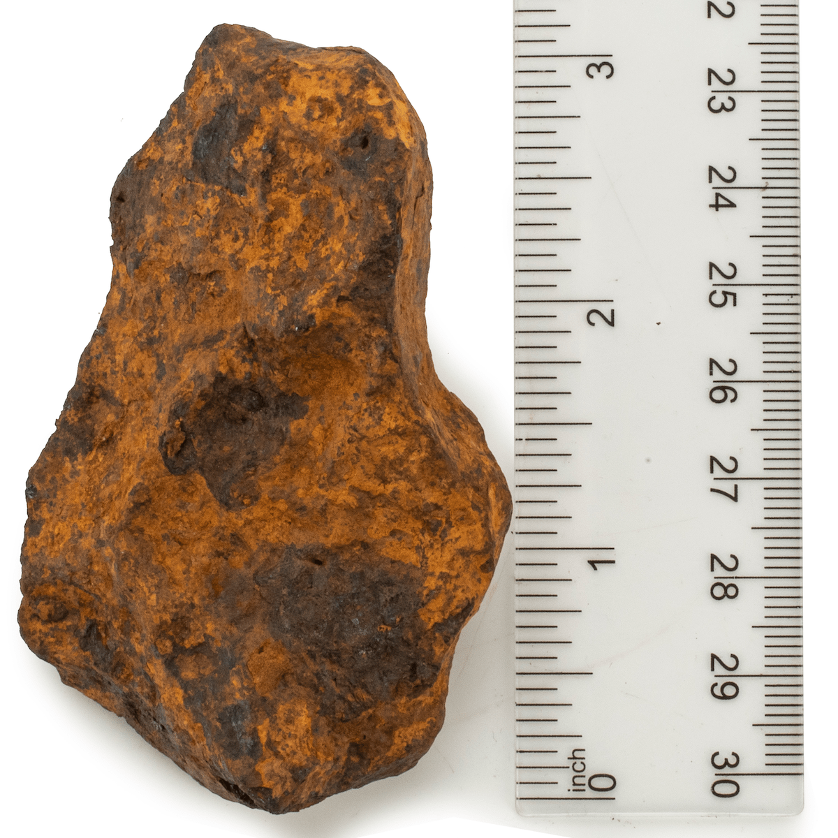 Kalifano Meteorites Natural Chinga Iron Meteorite from Russia - 305 grams MTCH6000.001