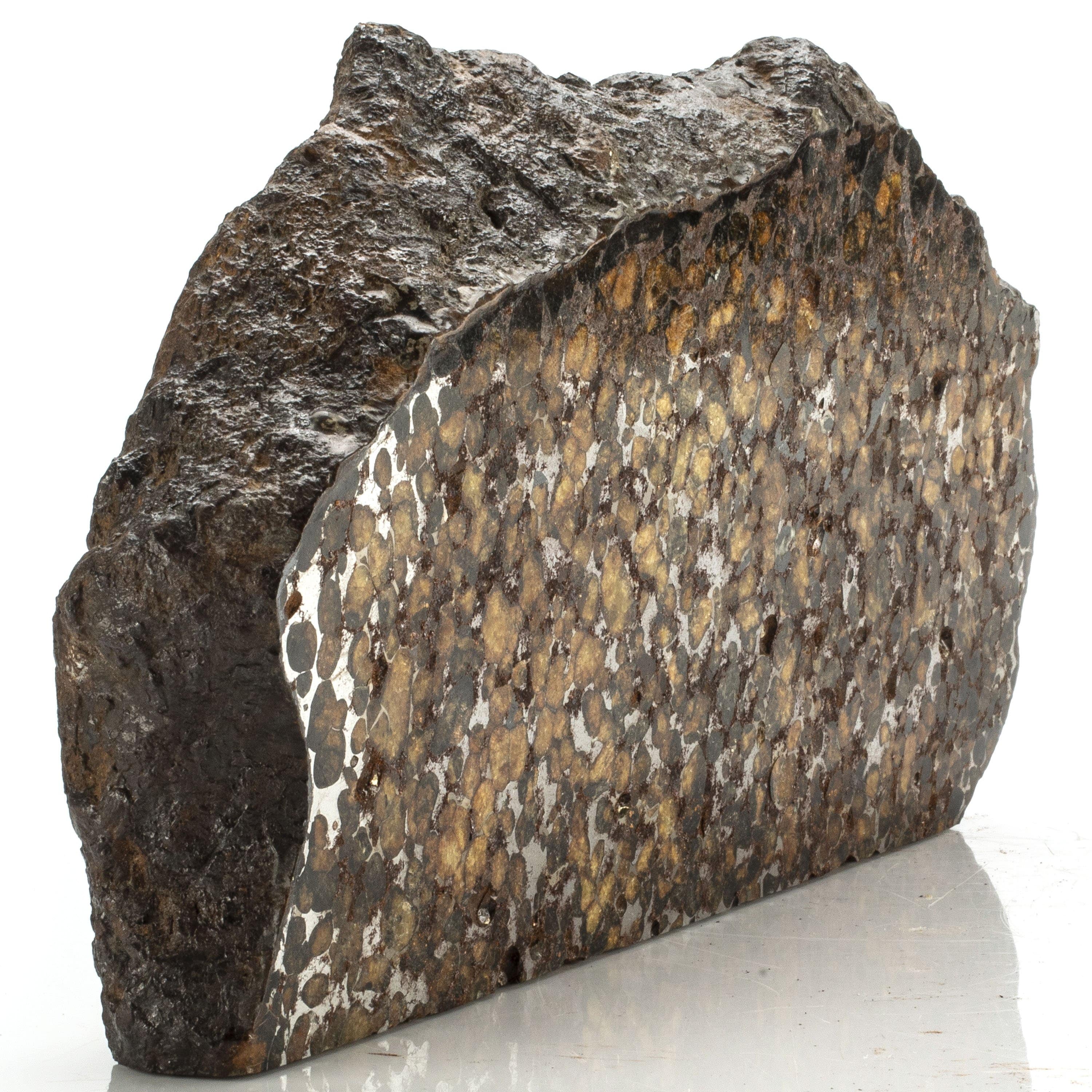 Kalifano Meteorites Natural Sericho Pallasite Meteorite from Kenya - 775 grams MTSER150000.001