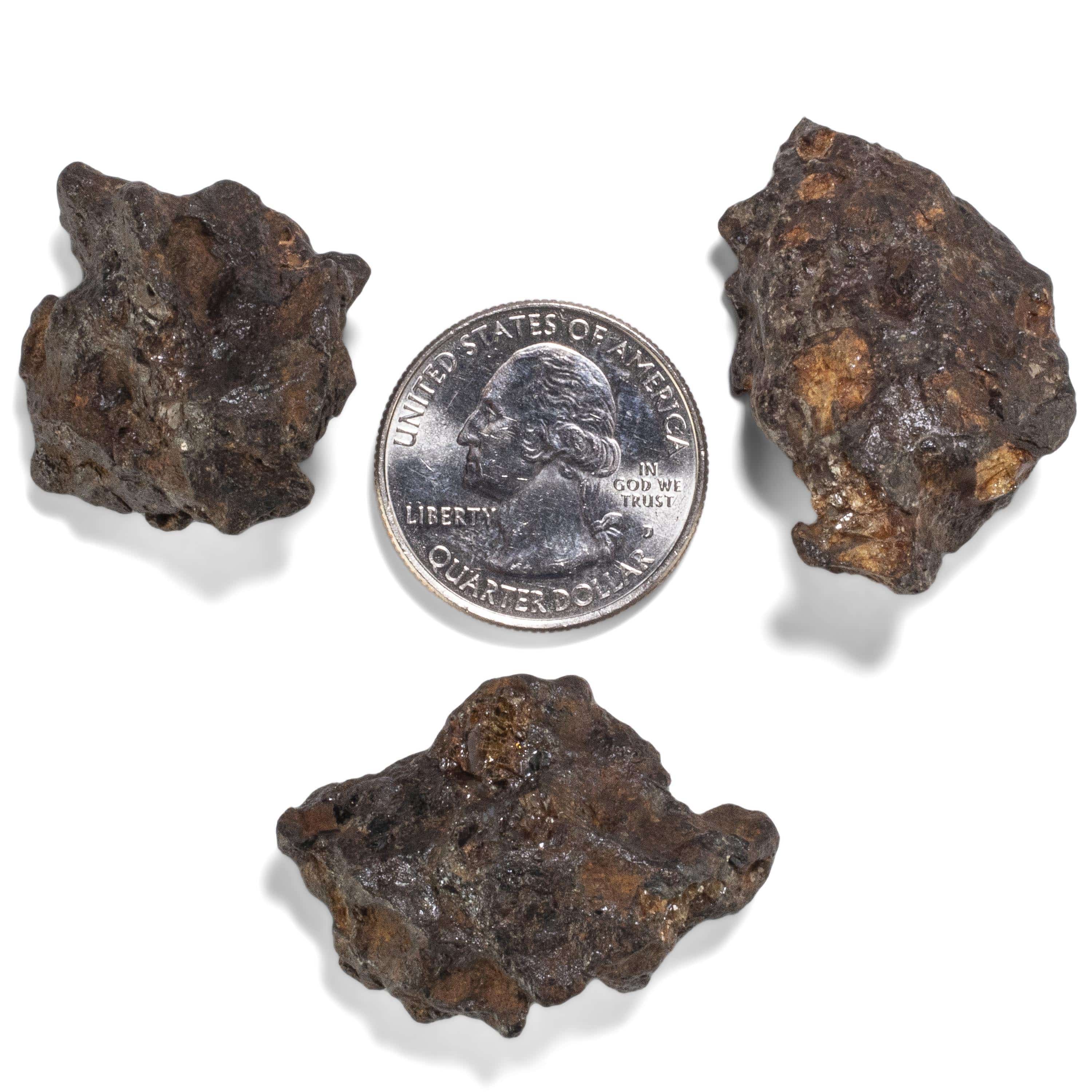 Kalifano Meteorites Sericho Iron Meteorite discovered in Kenya - 20 grams MTCHO400