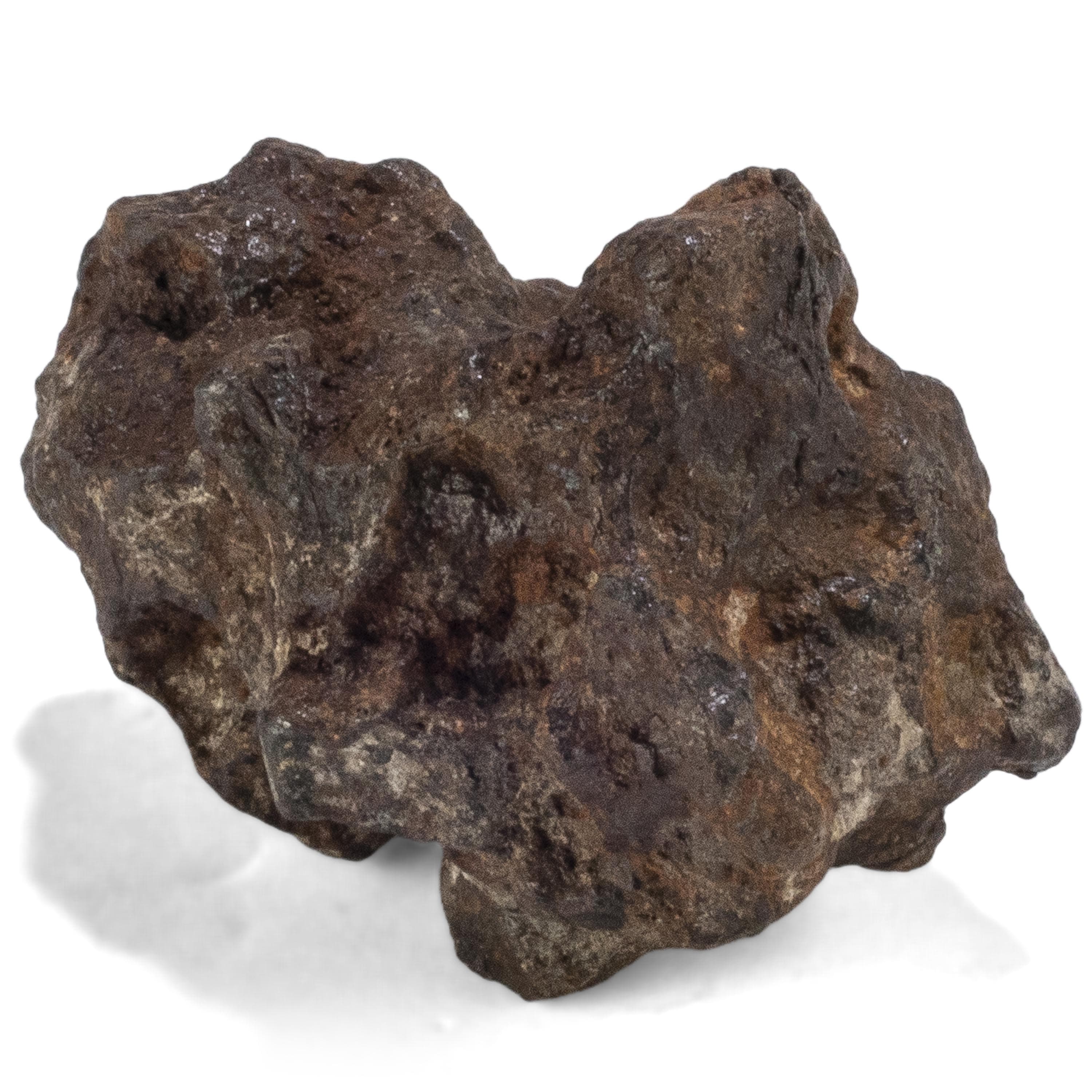 Kalifano Meteorites Sericho Iron Meteorite discovered in Kenya - 31 grams MTCHO600