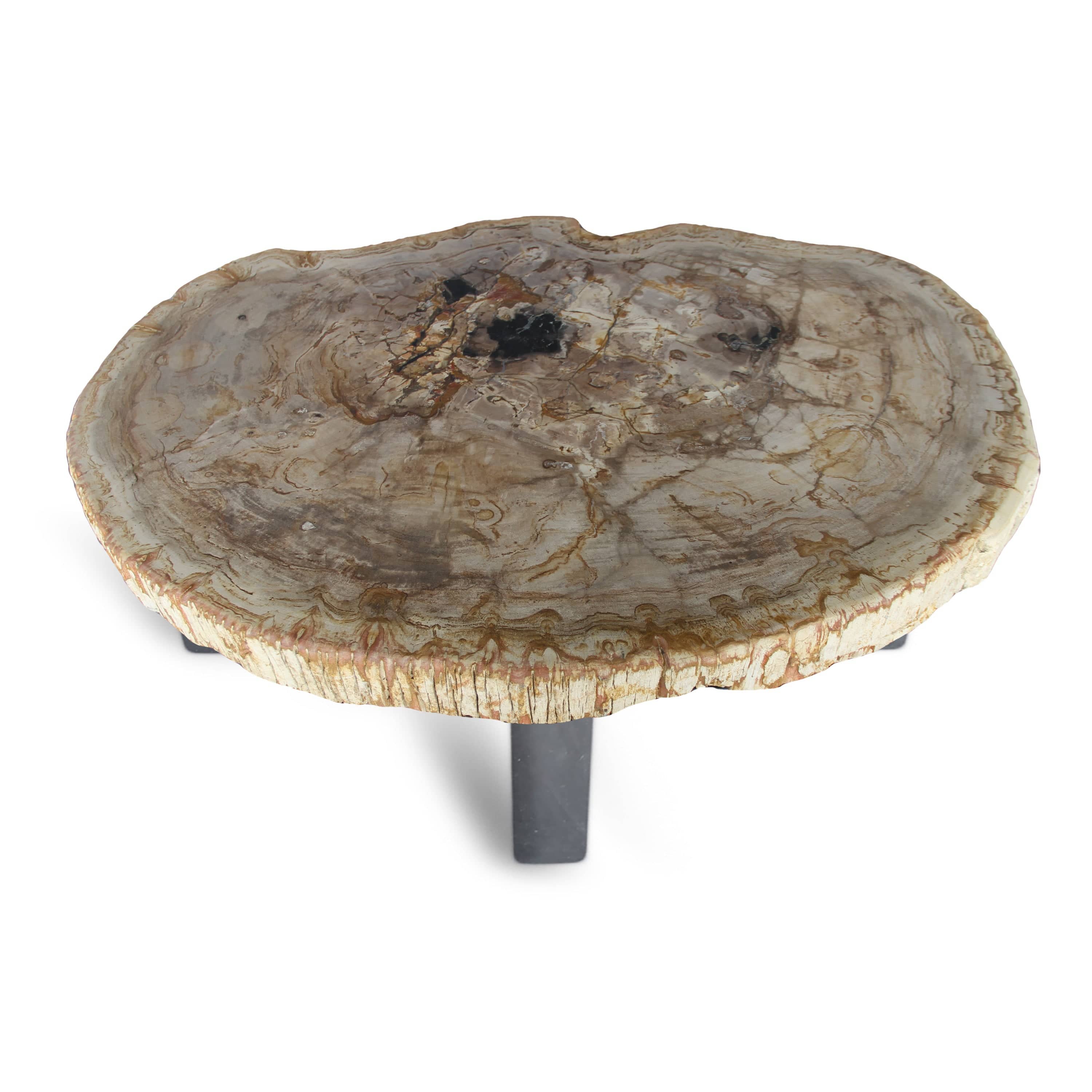 Kalifano Petrified Wood Petrified Wood Round Slab Coffee Table from Indonesia - 33" / 141 lbs PWT5200.003