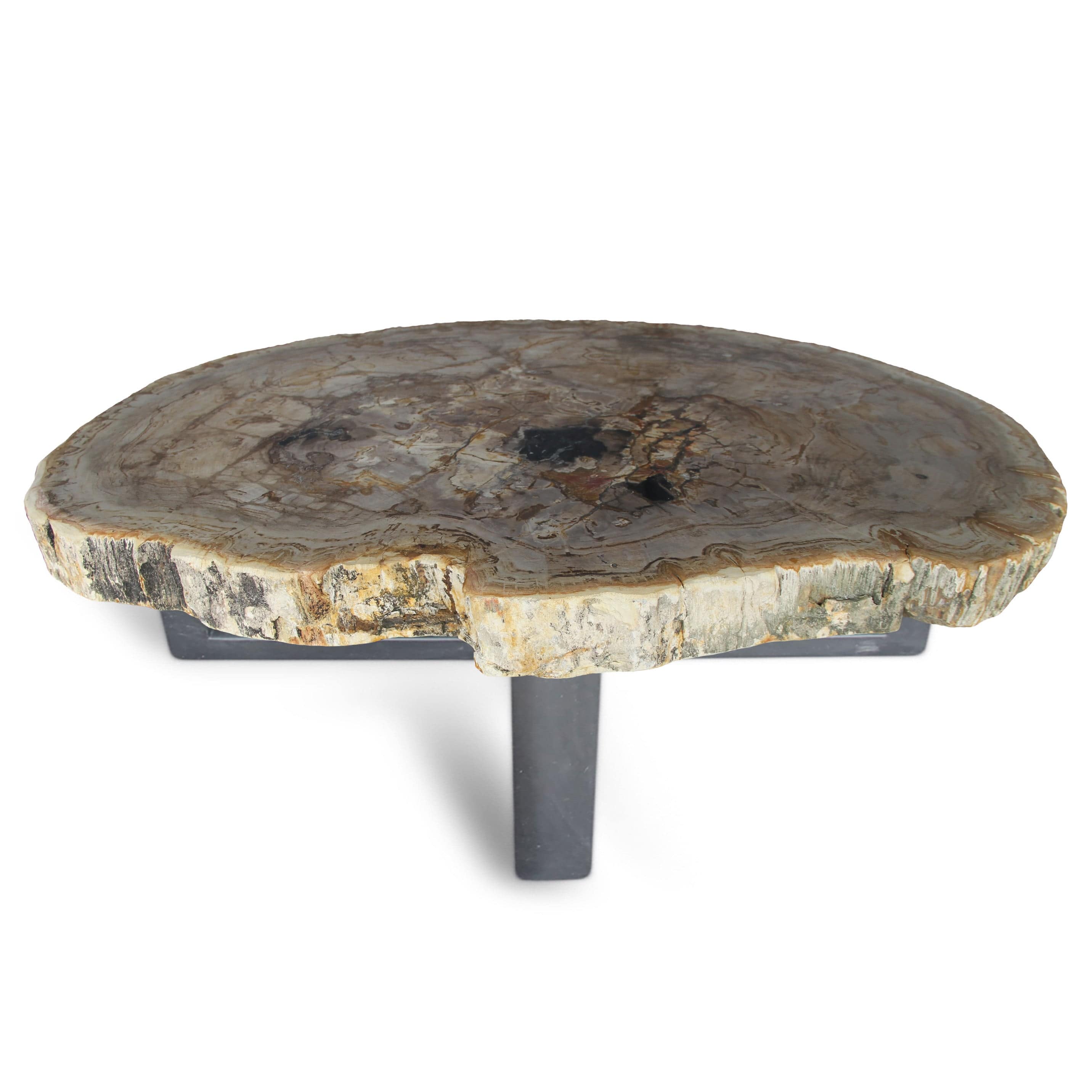 Kalifano Petrified Wood Petrified Wood Round Slab Coffee Table from Indonesia - 33" / 141 lbs PWT5200.003