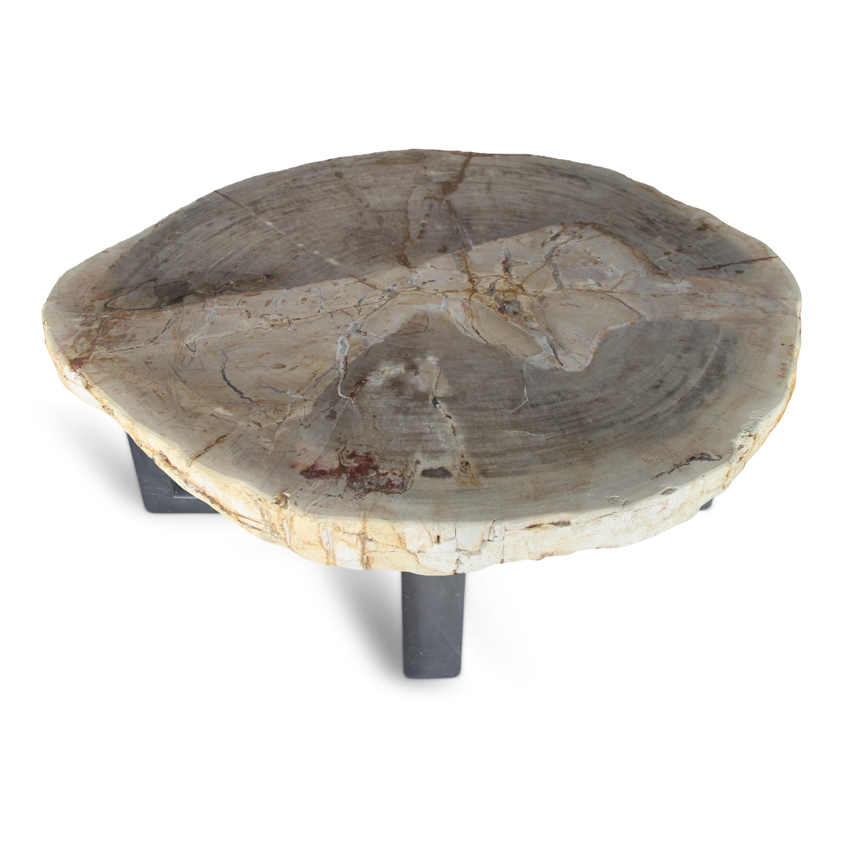 Kalifano Petrified Wood Petrified Wood Round Slab Coffee Table from Indonesia - 34" / 165 lbs PWT6000.004