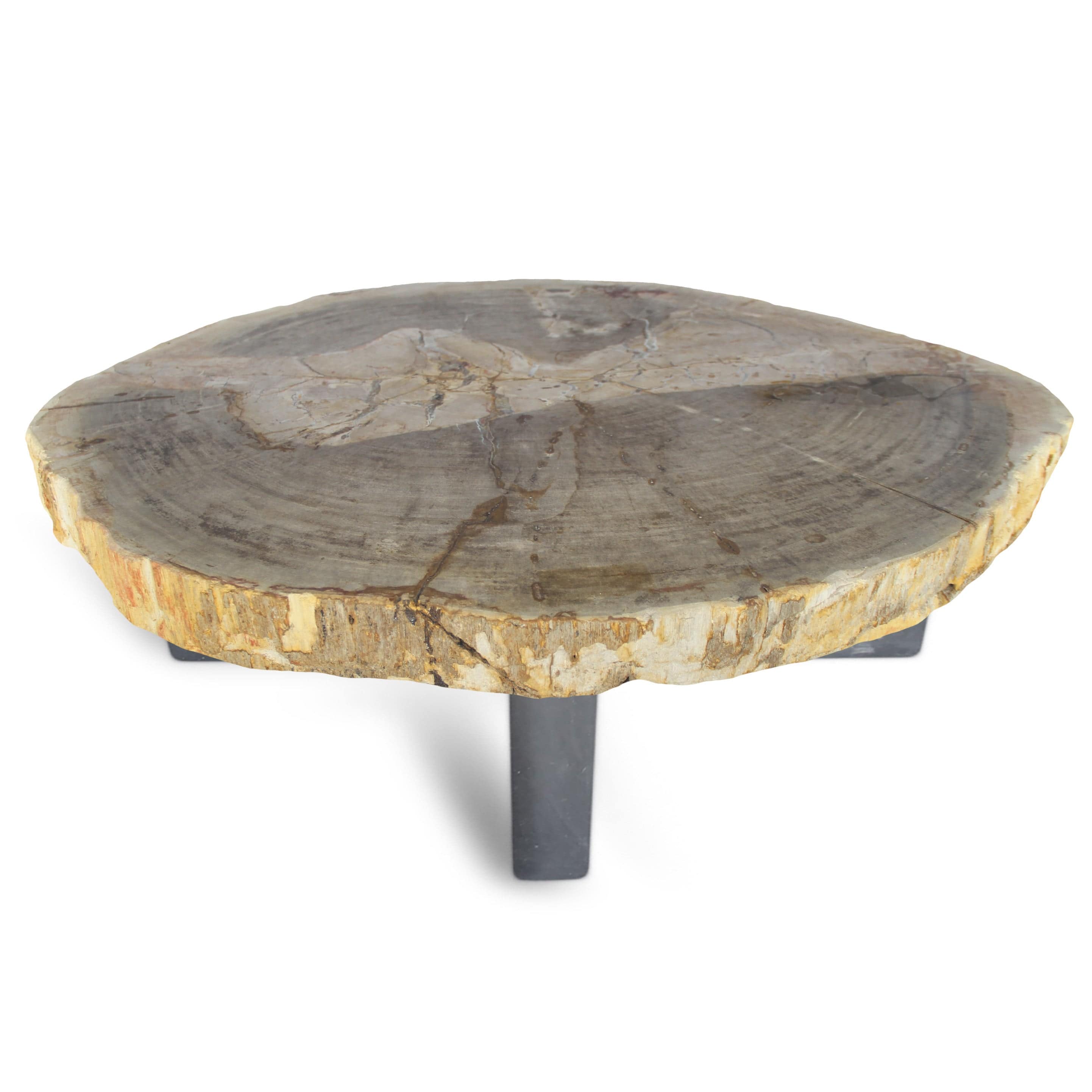 Kalifano Petrified Wood Petrified Wood Round Slab Coffee Table from Indonesia - 34" / 165 lbs PWT6000.004