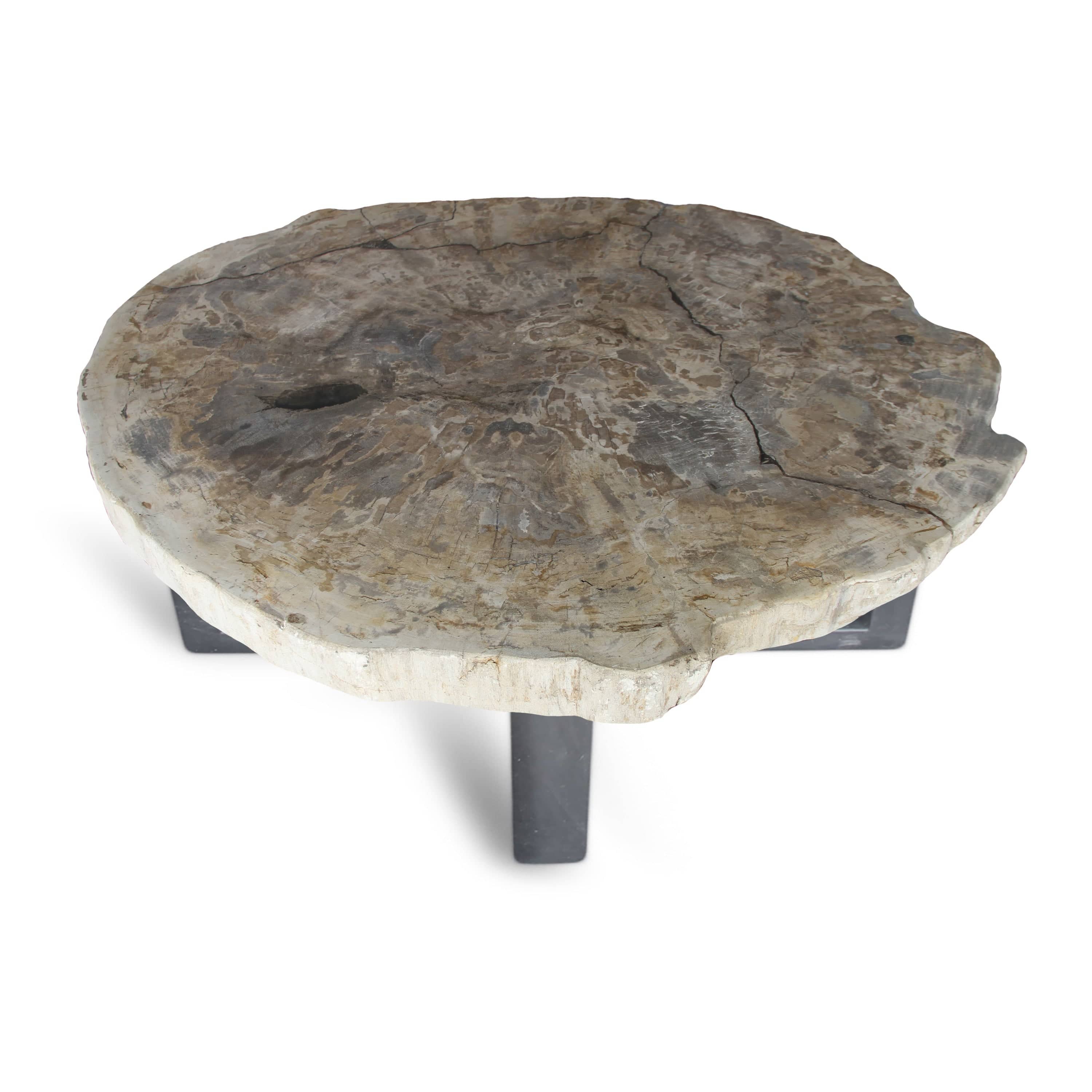 Kalifano Petrified Wood Petrified Wood Round Slab Coffee Table from Indonesia - 35" / 143 lbs PWT5200.004